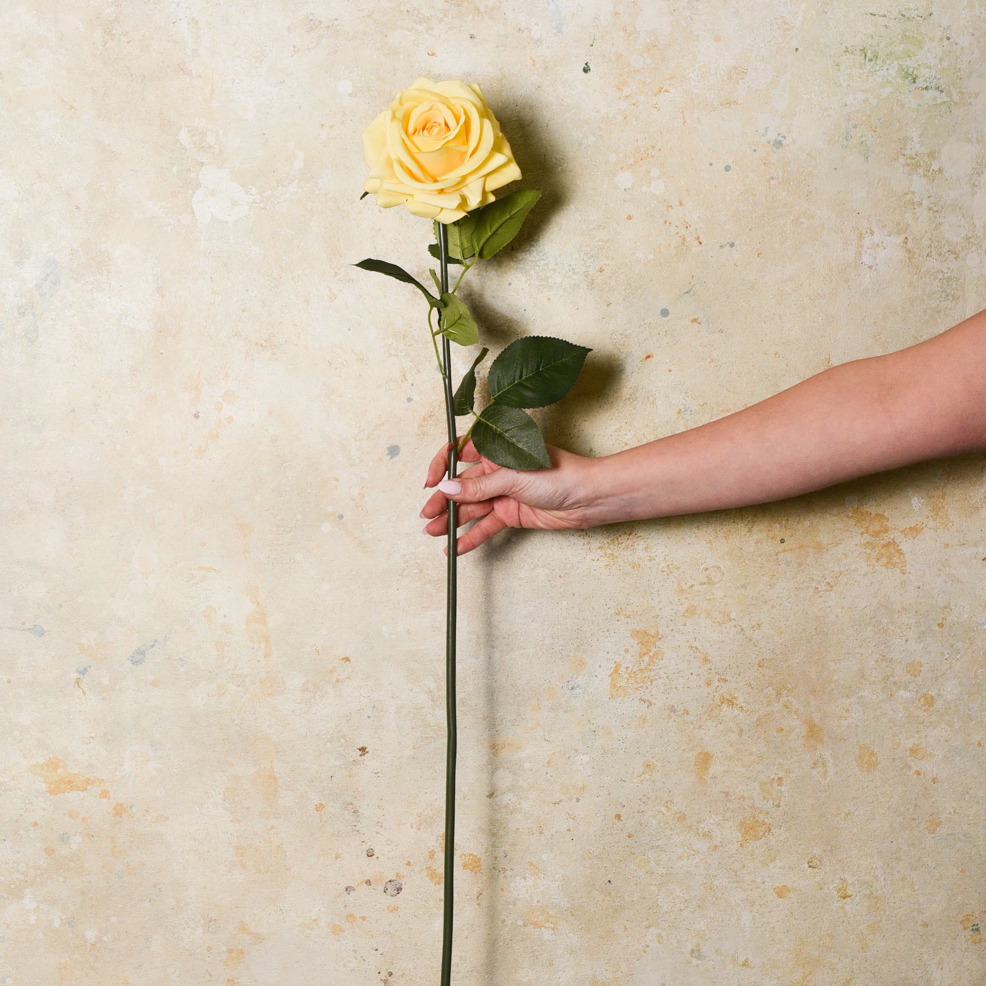 Rose Hannah Real Touch Flower Stem - Image 14