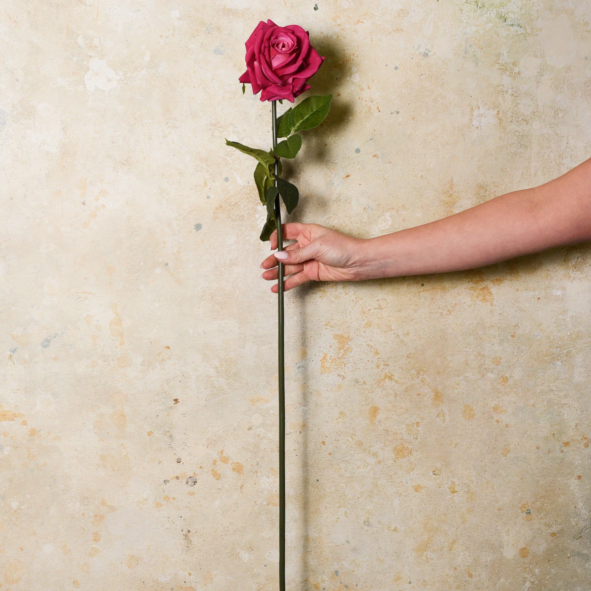 Rose Hannah Real Touch Flower Stem - Image 15