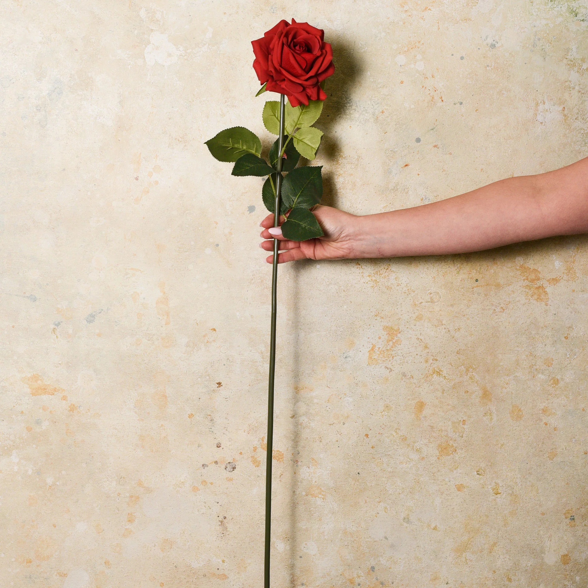 Rose Hannah Real Touch Flower Stem - Image 16