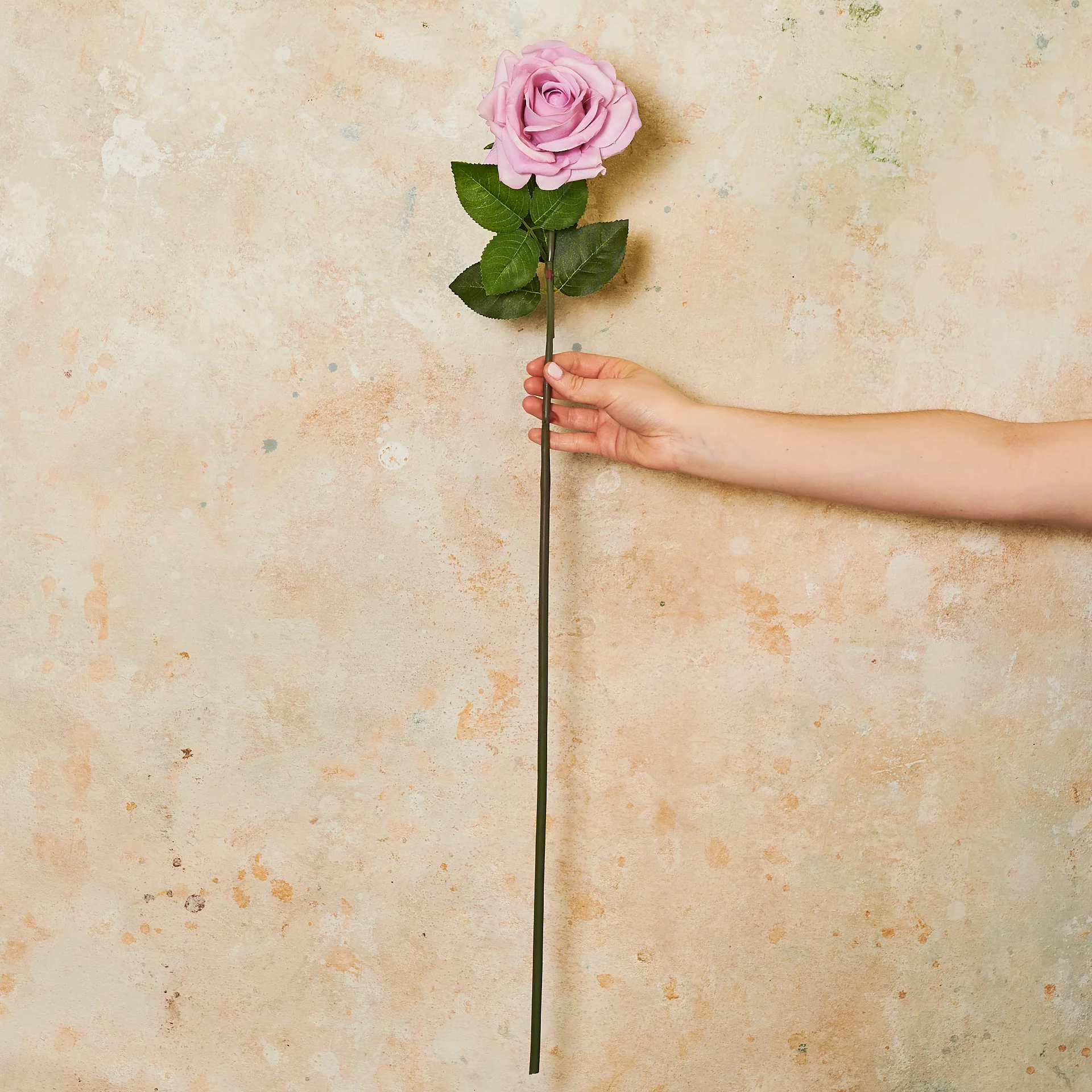 Rose Hannah Real Touch Flower Stem - Image 18