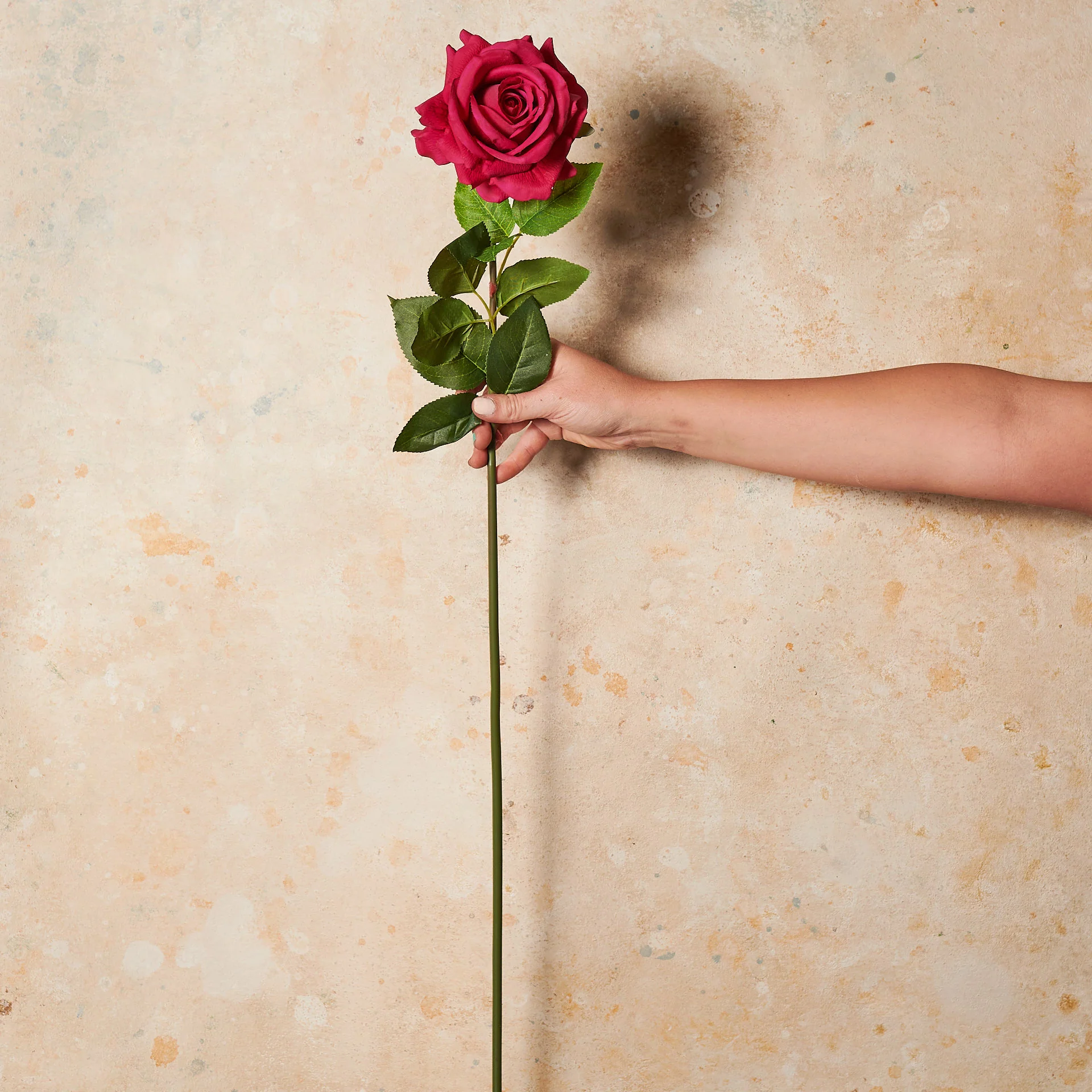 Rose Hannah Real Touch Flower Stem - Image 9