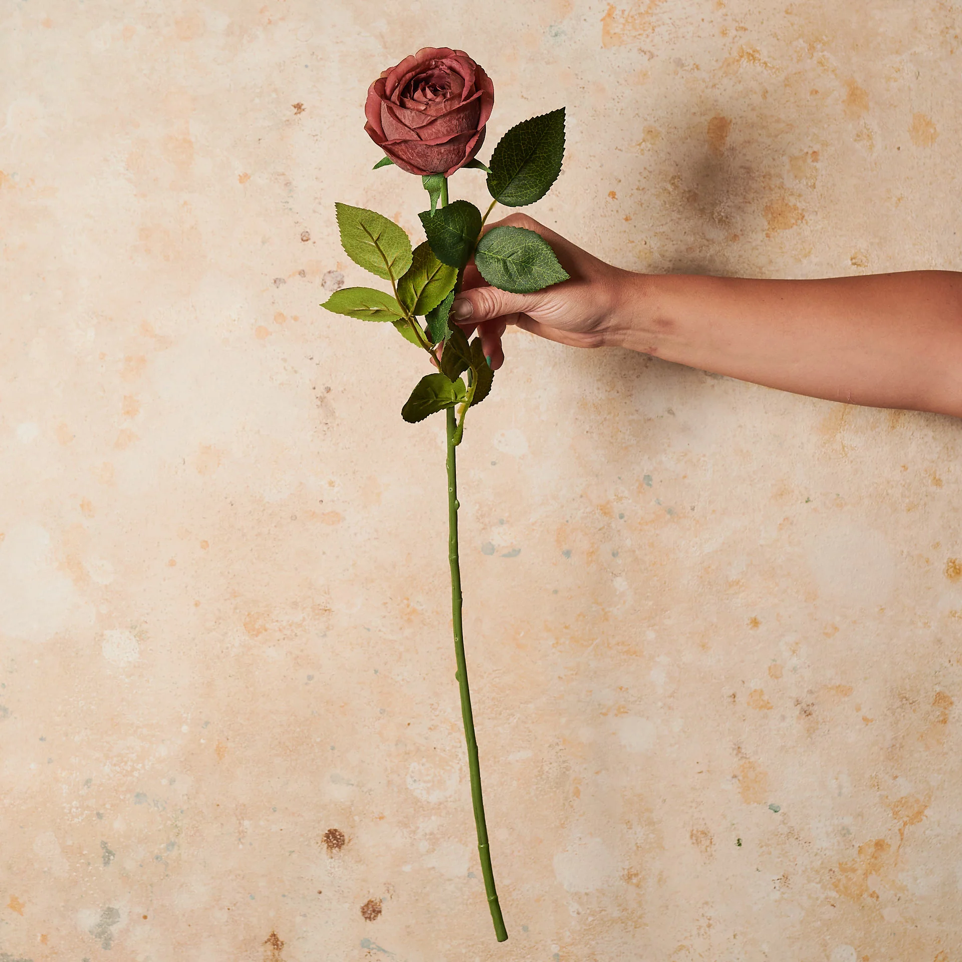 Rose Medium Bloom Real Touch Flower Stem - Image 6