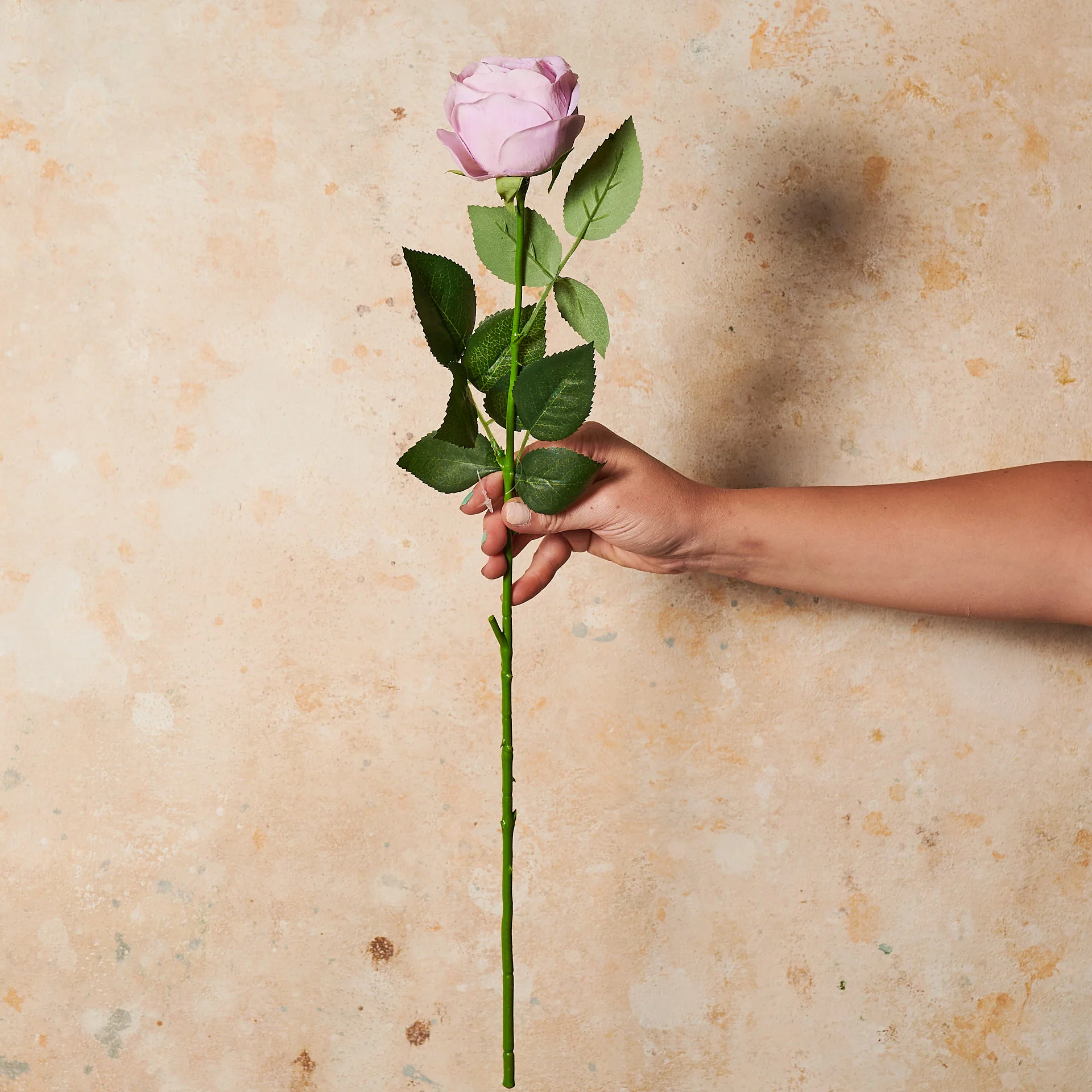 Rose Medium Bloom Real Touch Flower Stem - Image 7