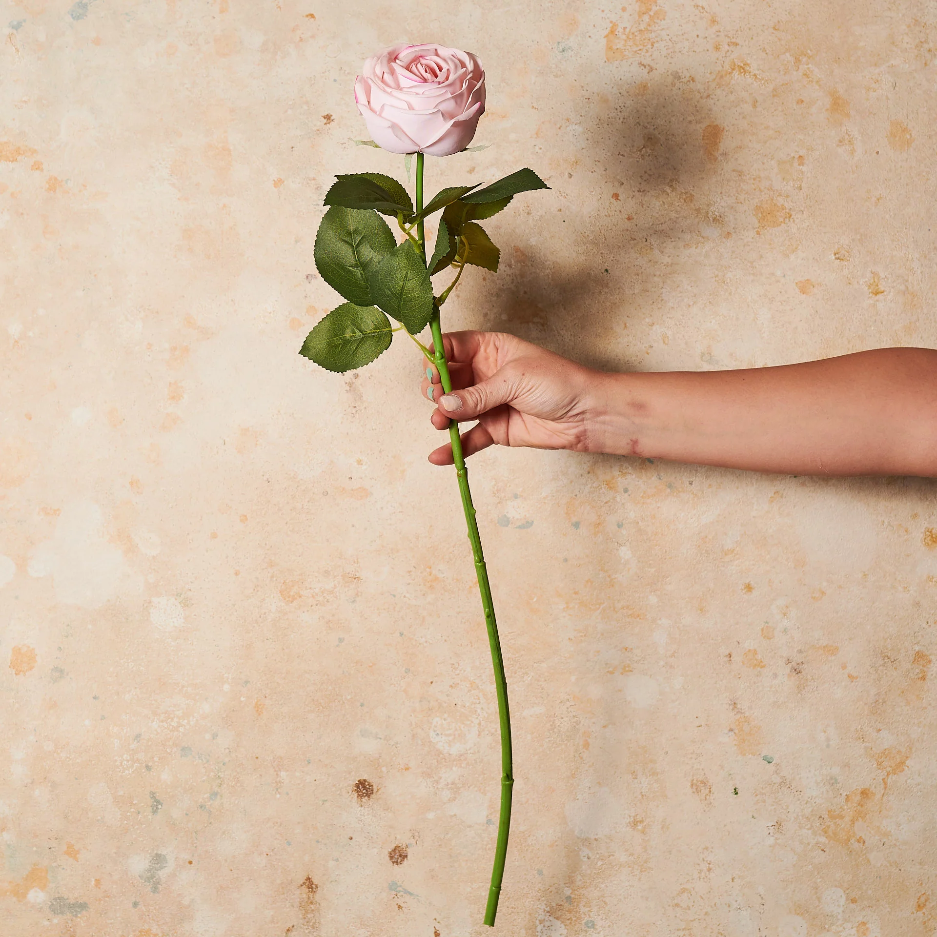 Rose Medium Bloom Real Touch Flower Stem - Image 8