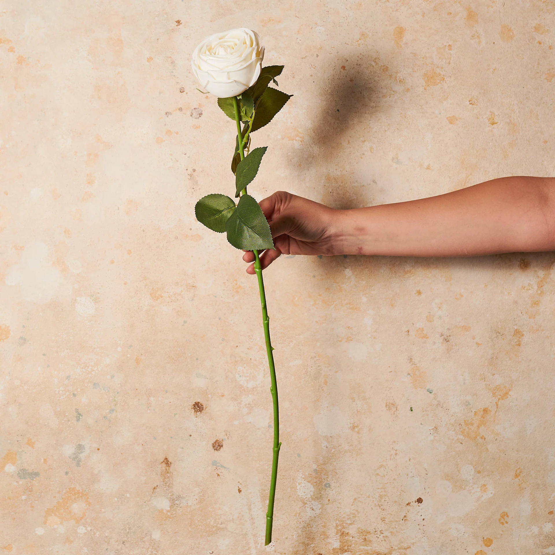 Rose Medium Bloom Real Touch Flower Stem - Image 9