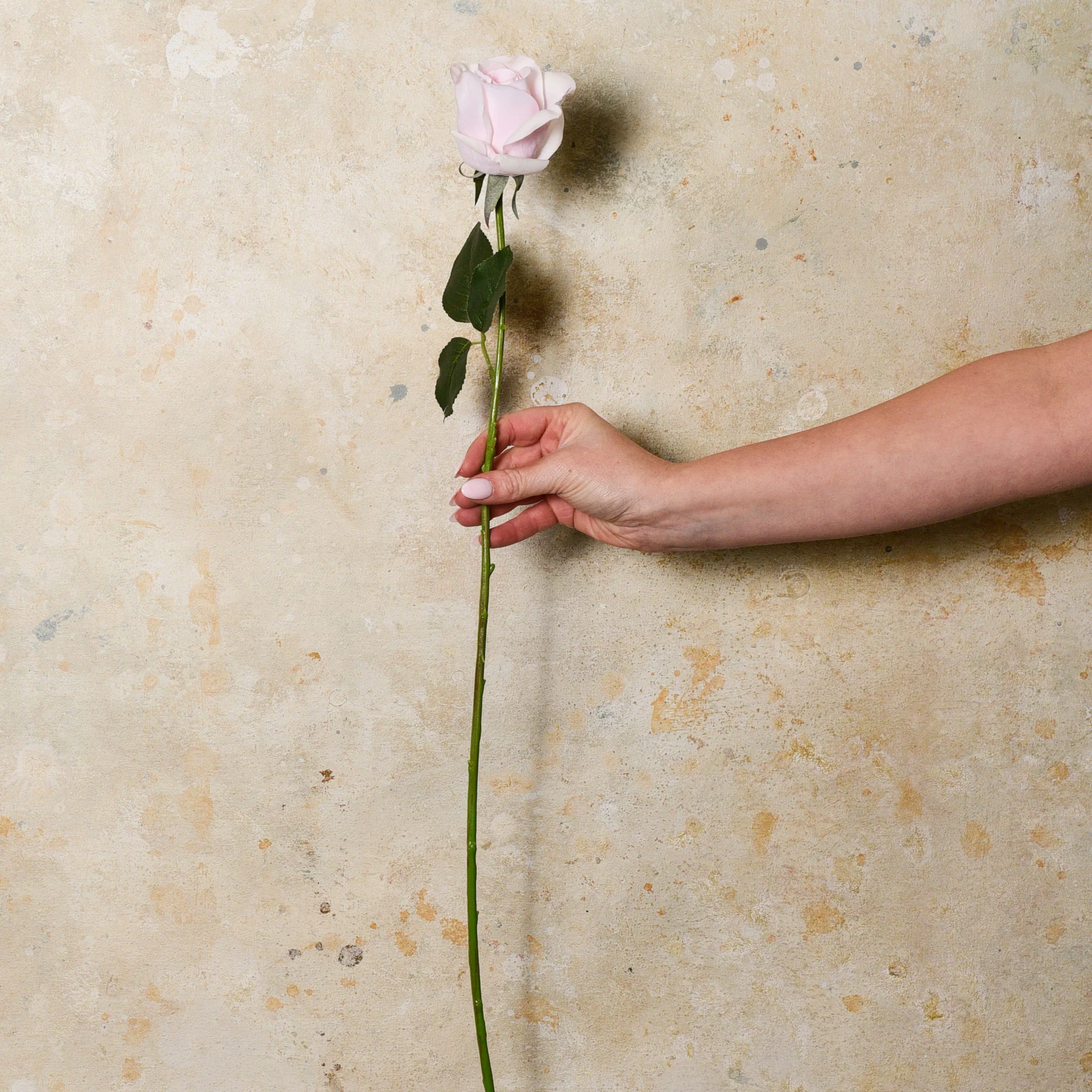 Rose Yvie Real Touch Flower Stem - Image 4