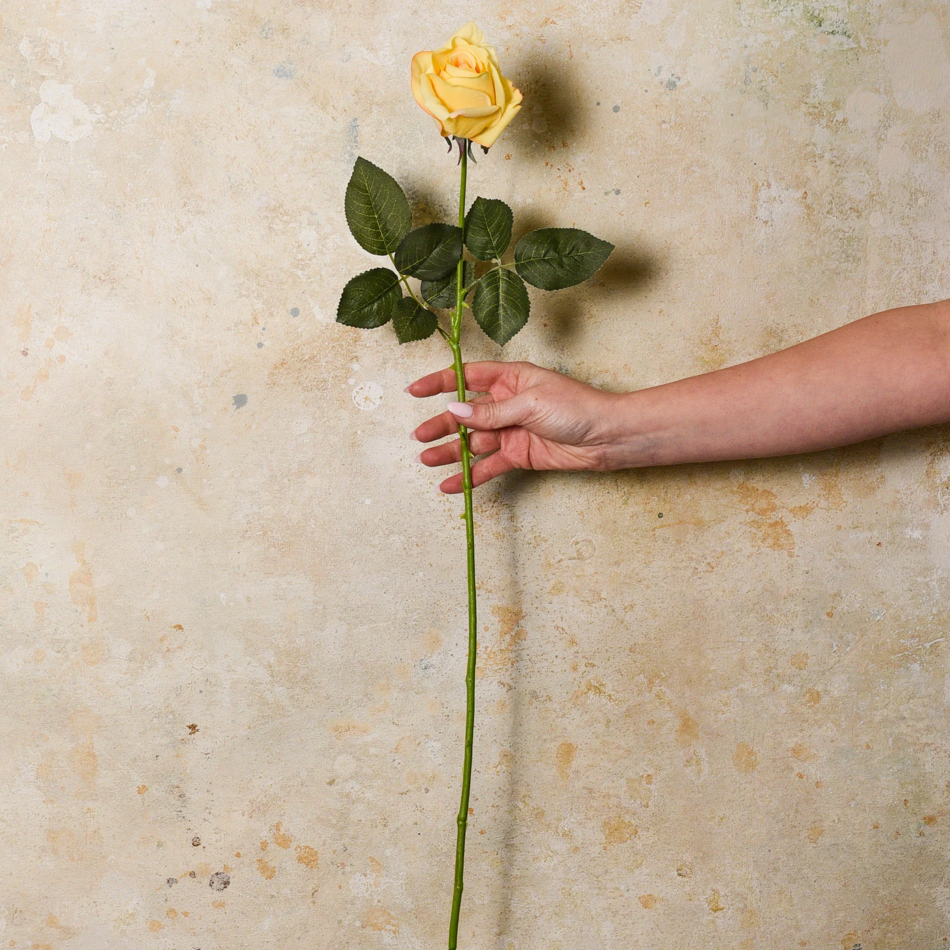Rose Yvie Real Touch Flower Stem - Image 6