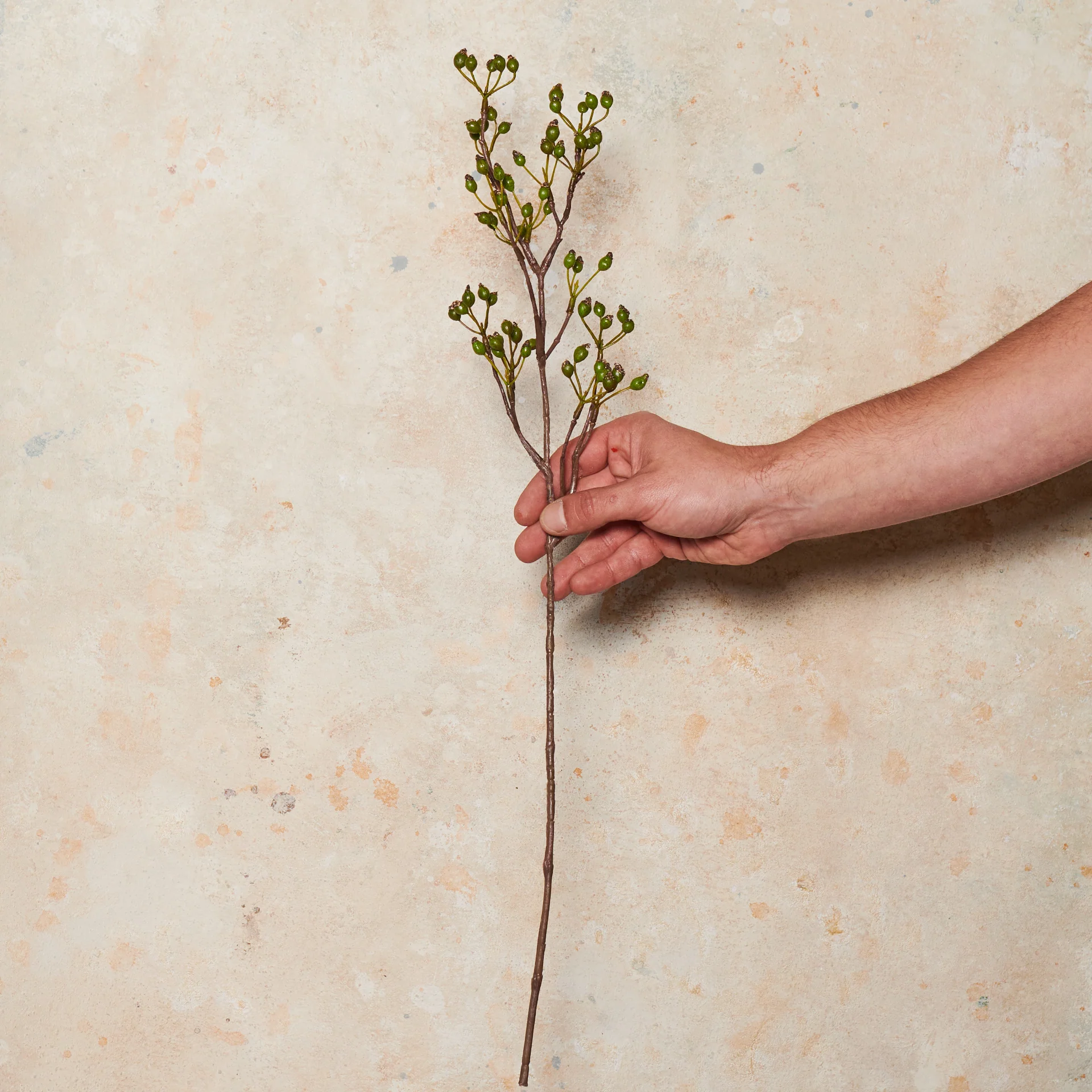 Rosehip Spray Real Touch Stem - Image 3