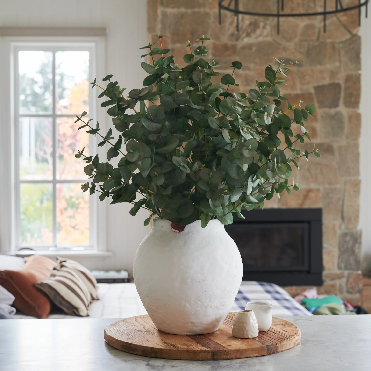 Sage - Image 4