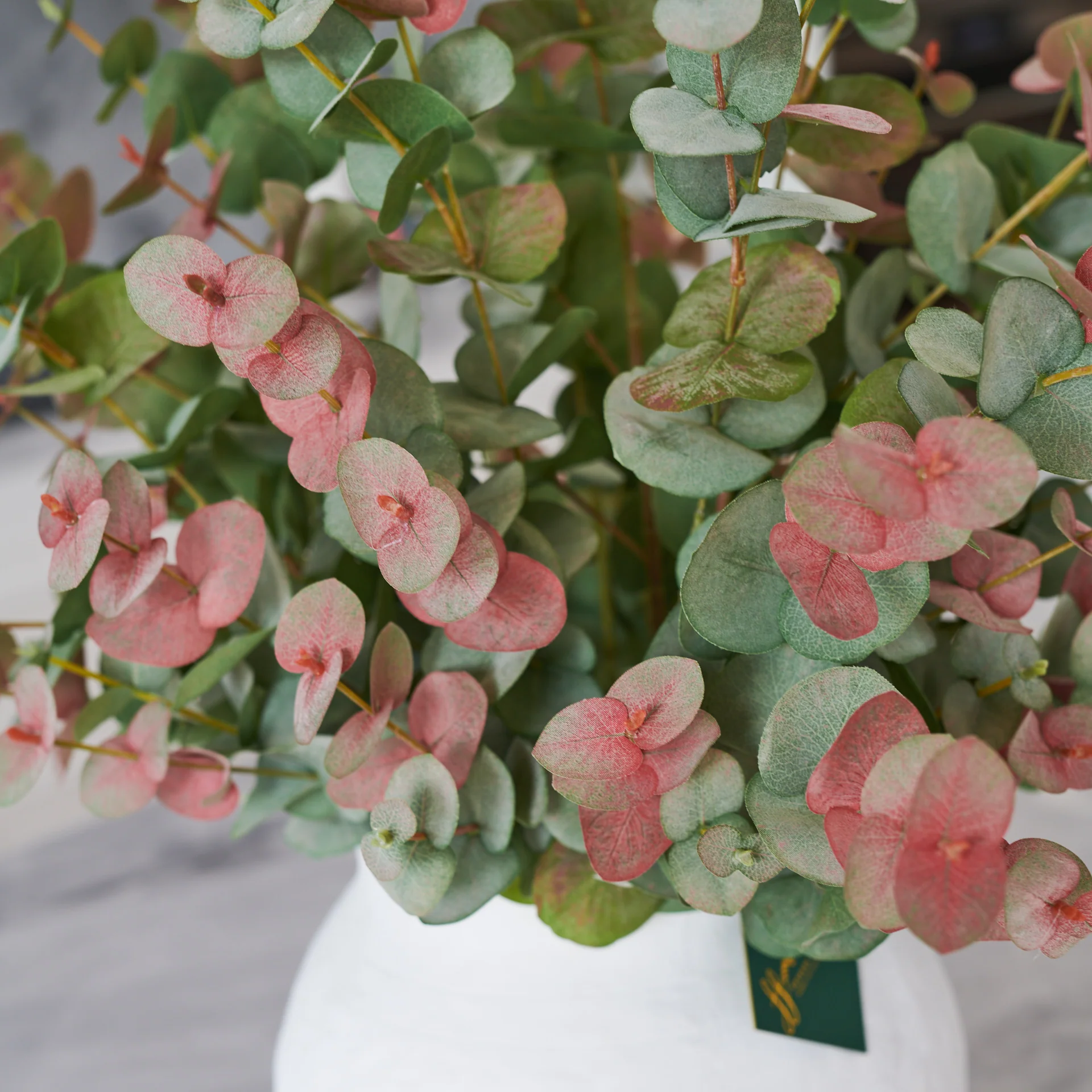 Sage - Image 9