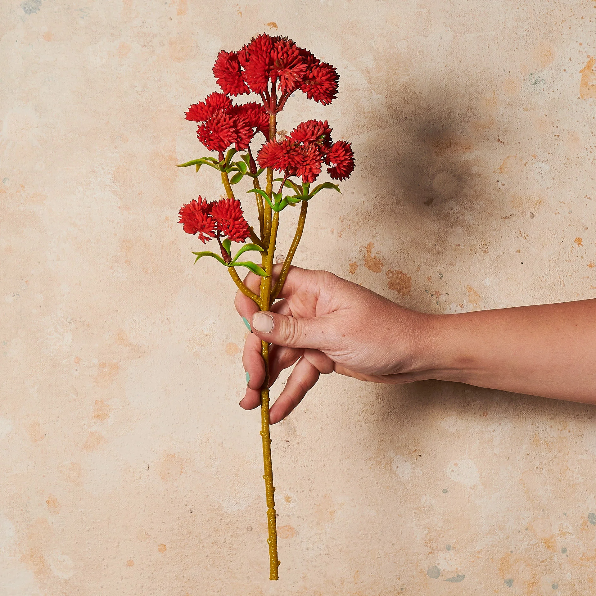 Sedum Spray Real Touch Flower Stem - Image 3