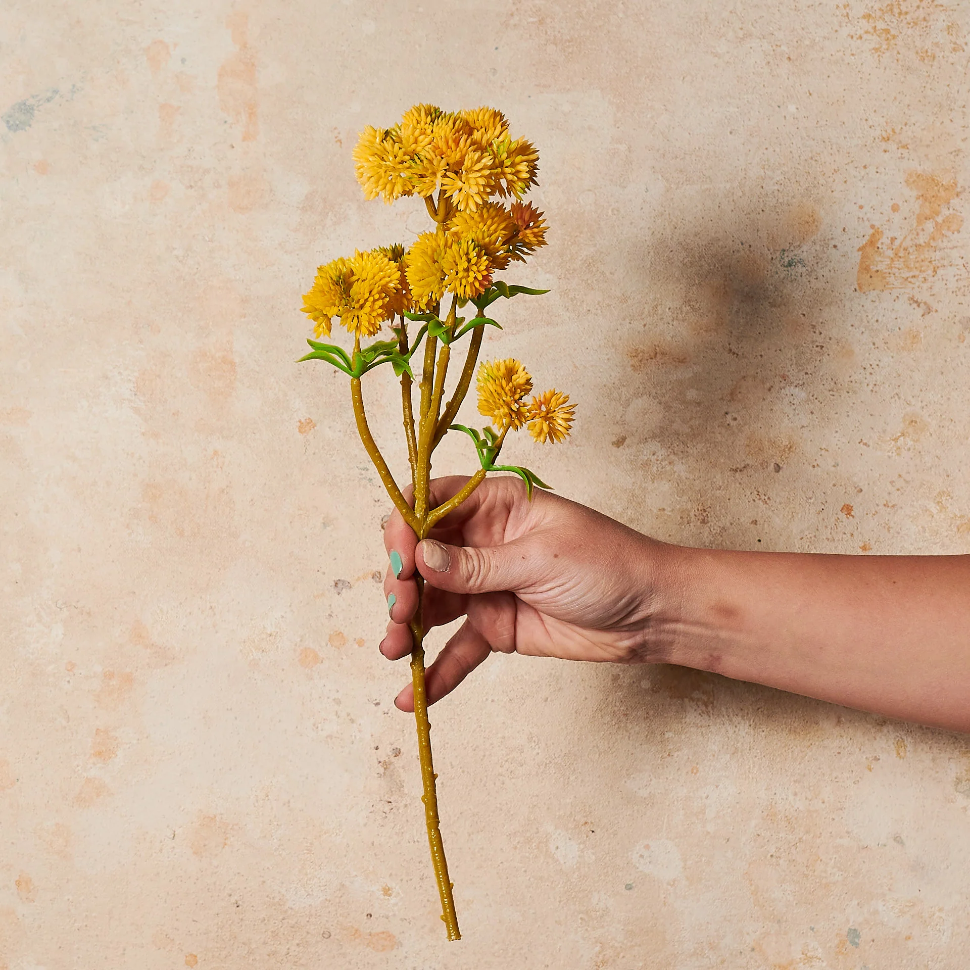 Sedum Spray Real Touch Flower Stem - Image 4