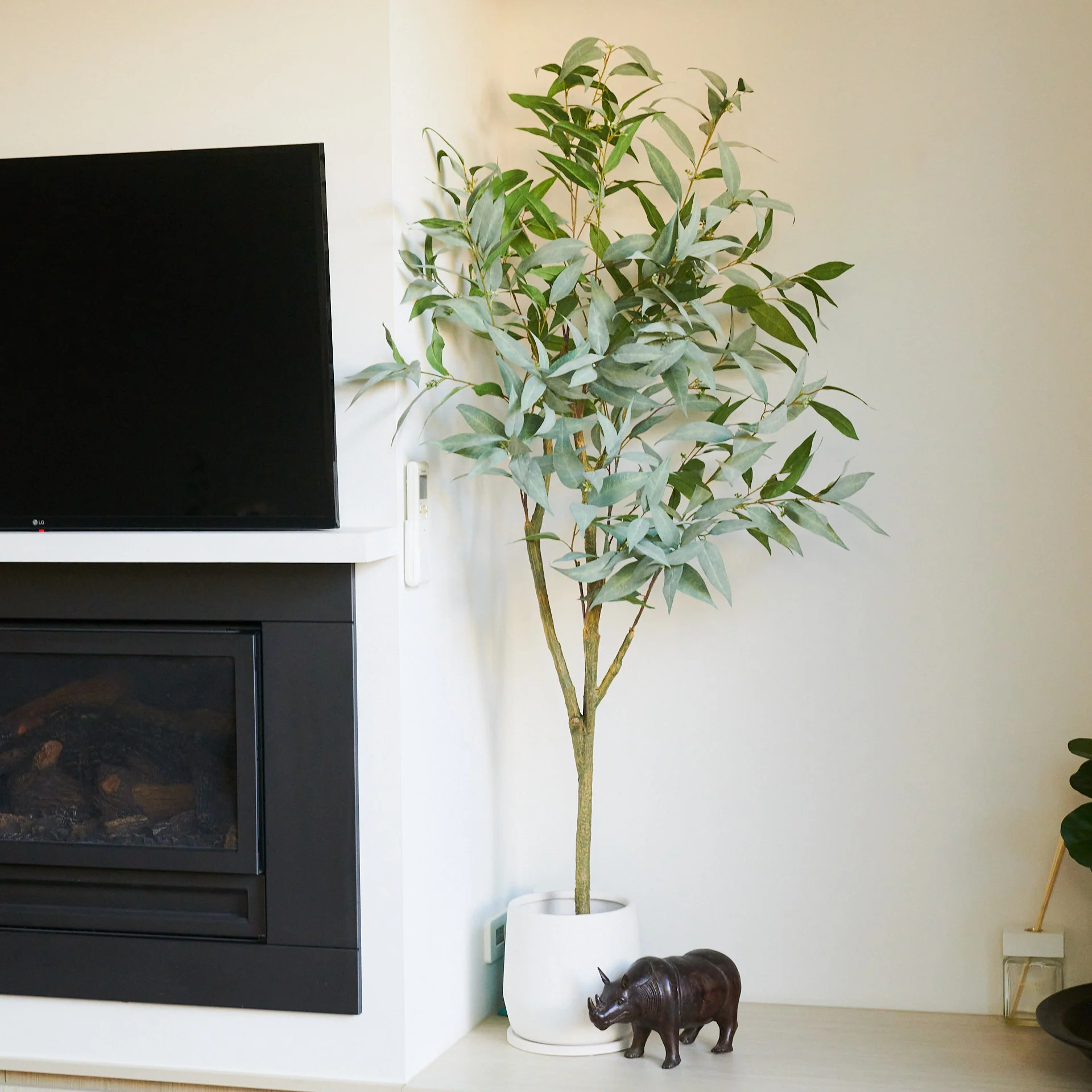 Hamilton Seeding Eucalyptus Gum Tree with Ceramic Pot - Image 3