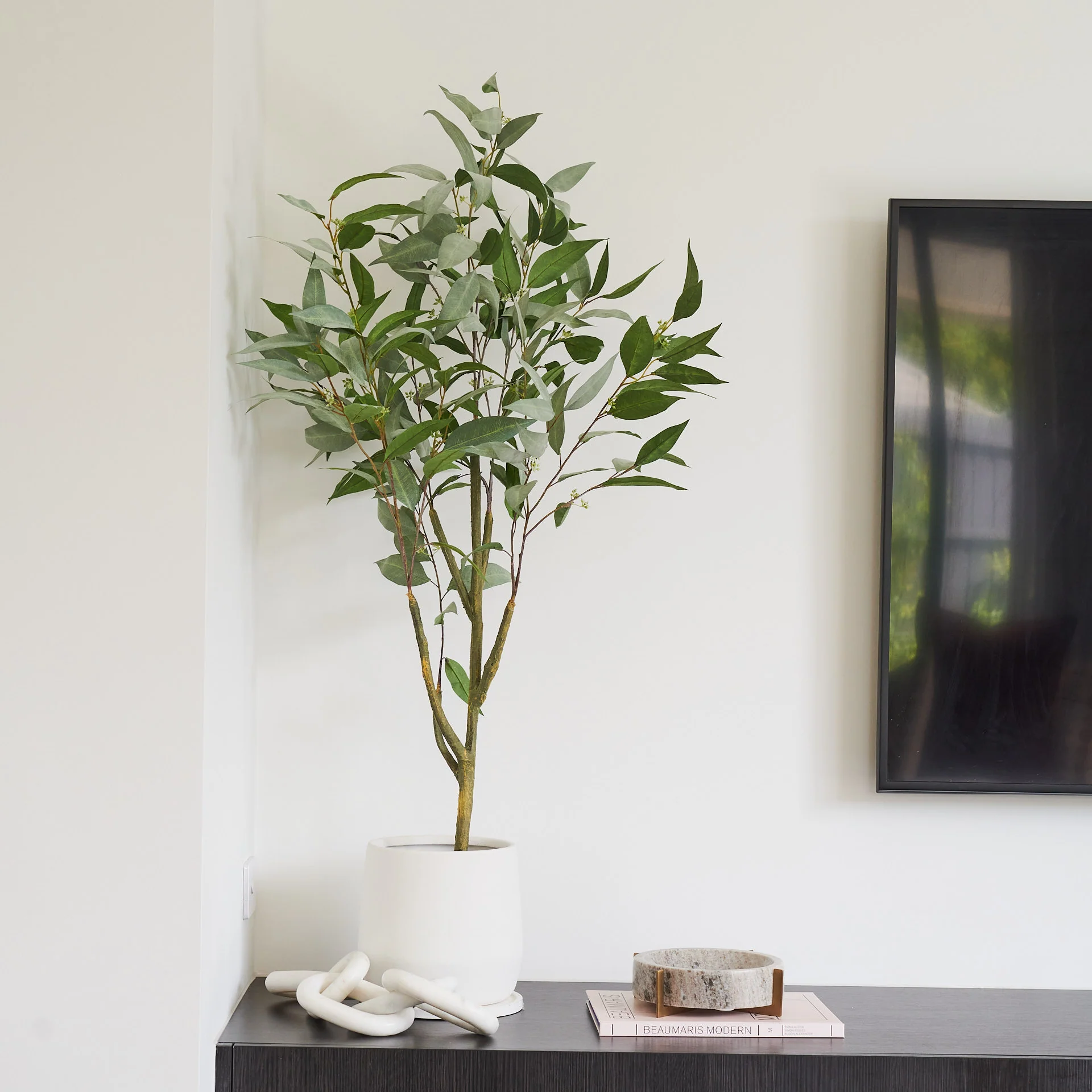 Hamilton Seeding Eucalyptus Gum Tree with Ceramic Pot - Image 4