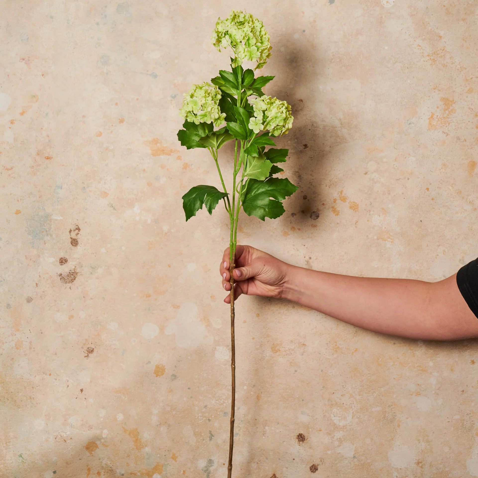 Snowball Spray Real Touch Flower Stem - Image 3