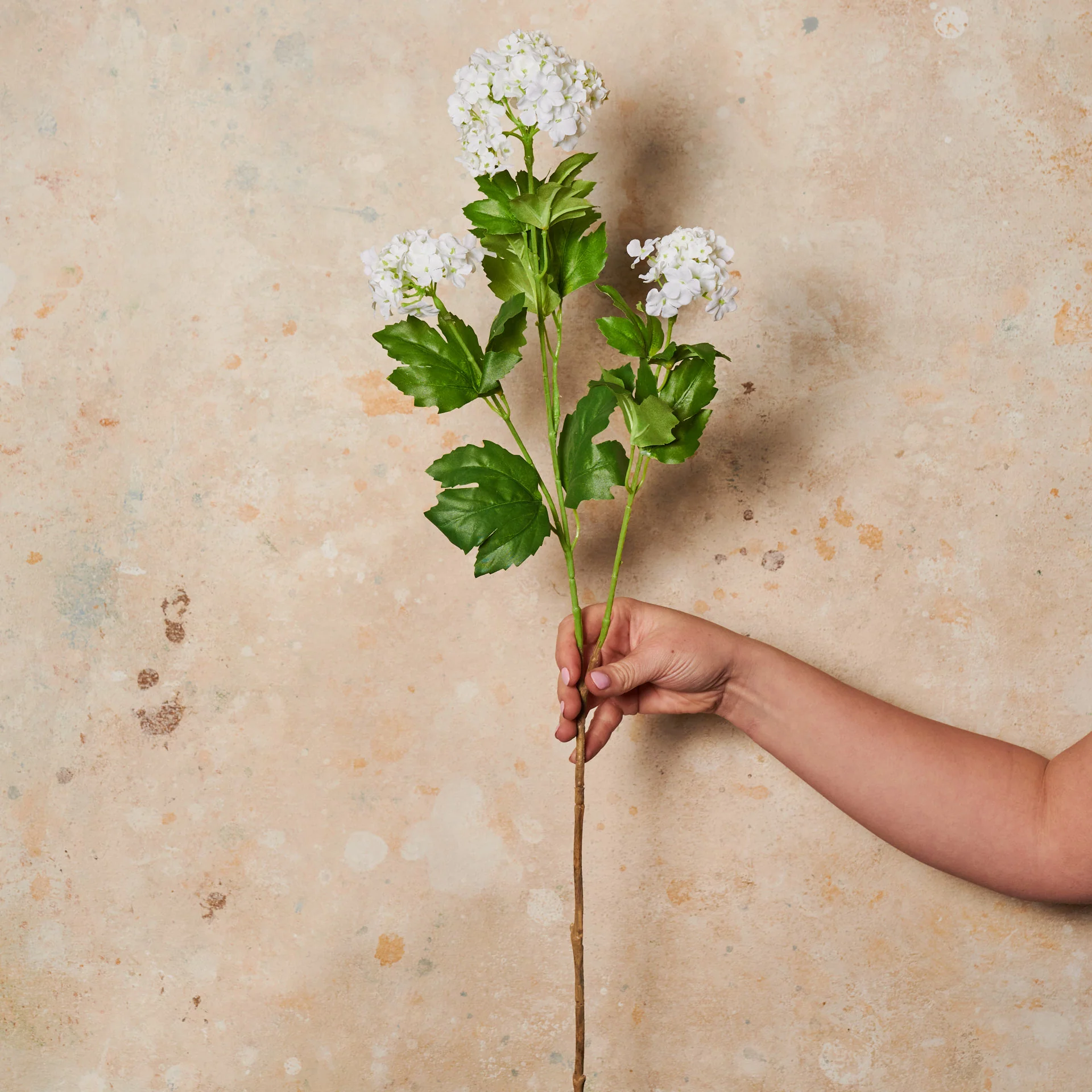 Snowball Spray Real Touch Flower Stem - Image 5