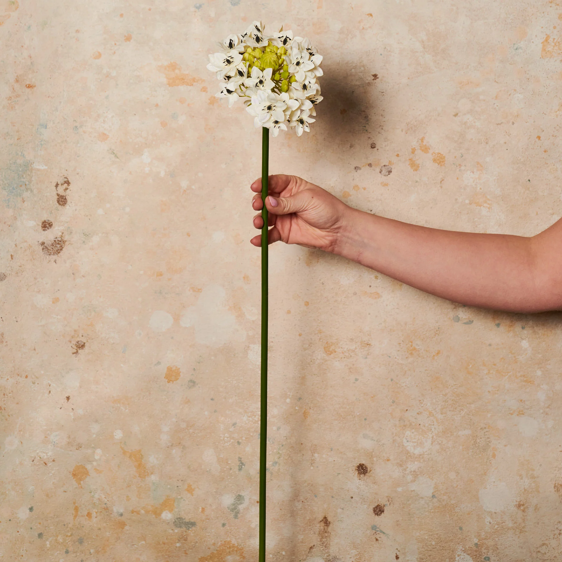 Star Flower Real Touch Flower Stem - Image 5