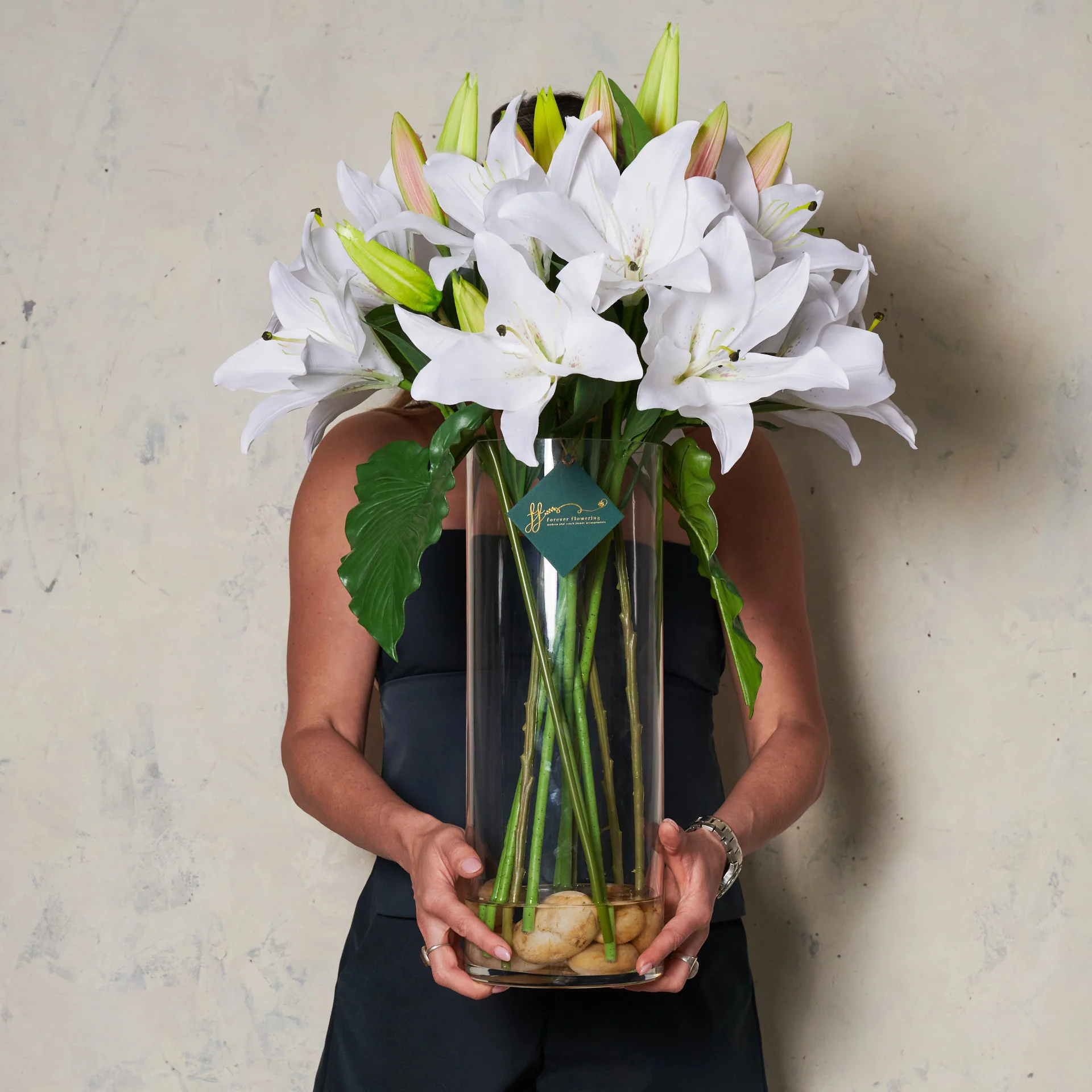Stella - Image 4