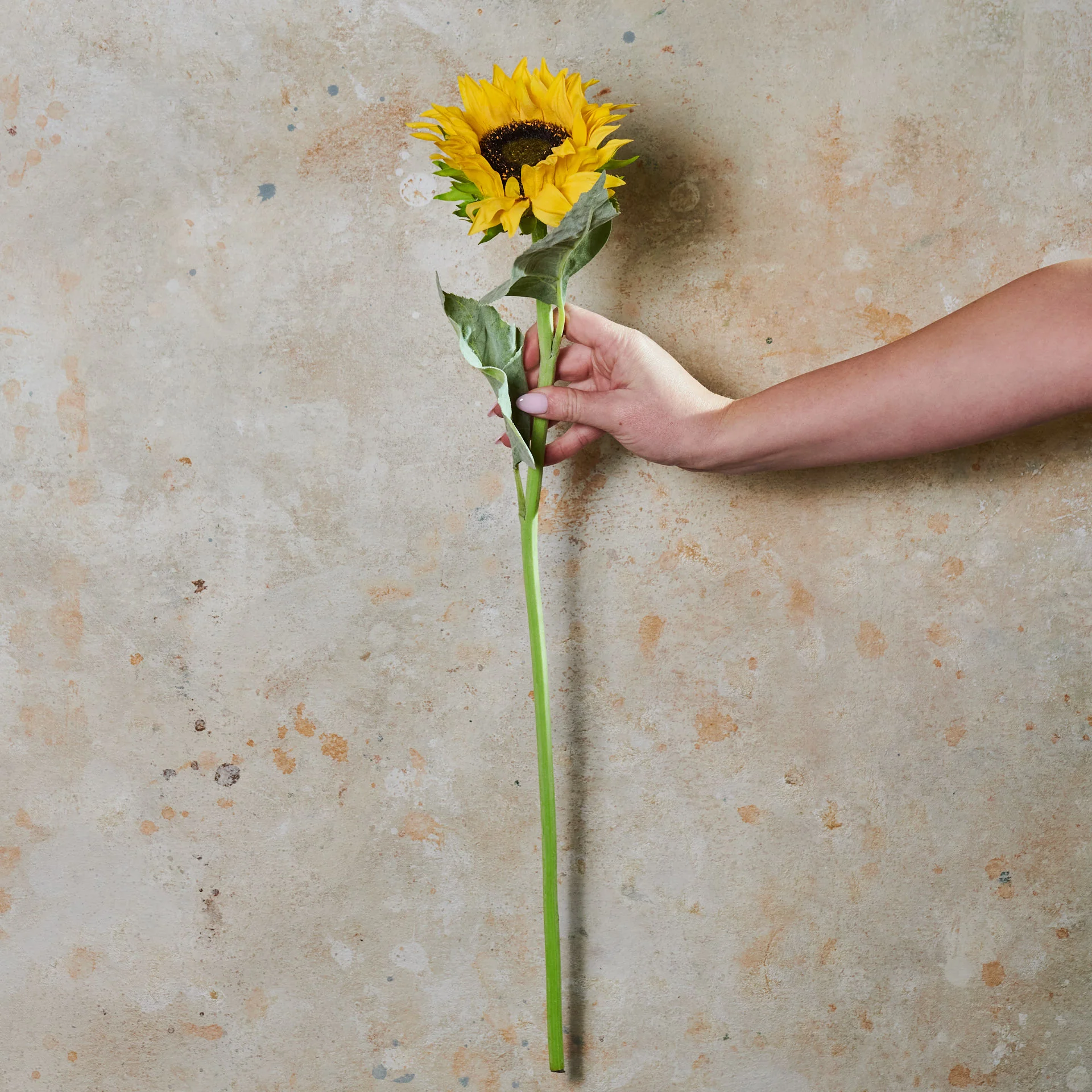 Sunflower Real Touch Flower Stem - Image 2