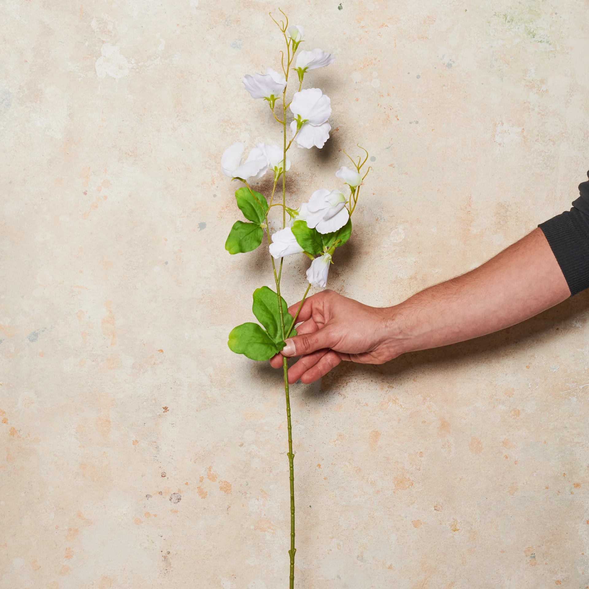 Sweet Pea Spray Real Touch Flower Stem - Image 5