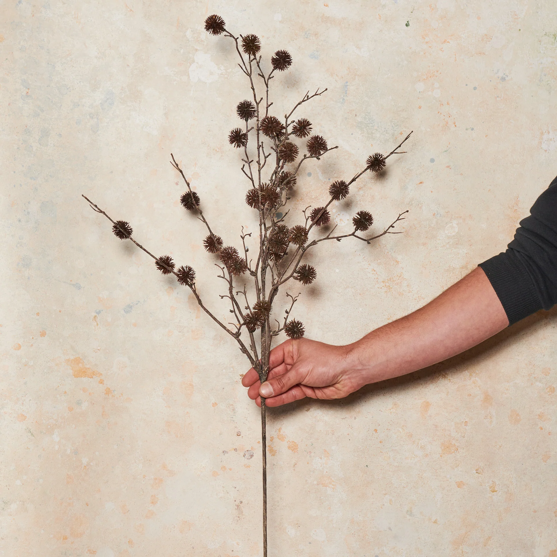 Sycamore Spray Real Touch Flower Stem - Image 7