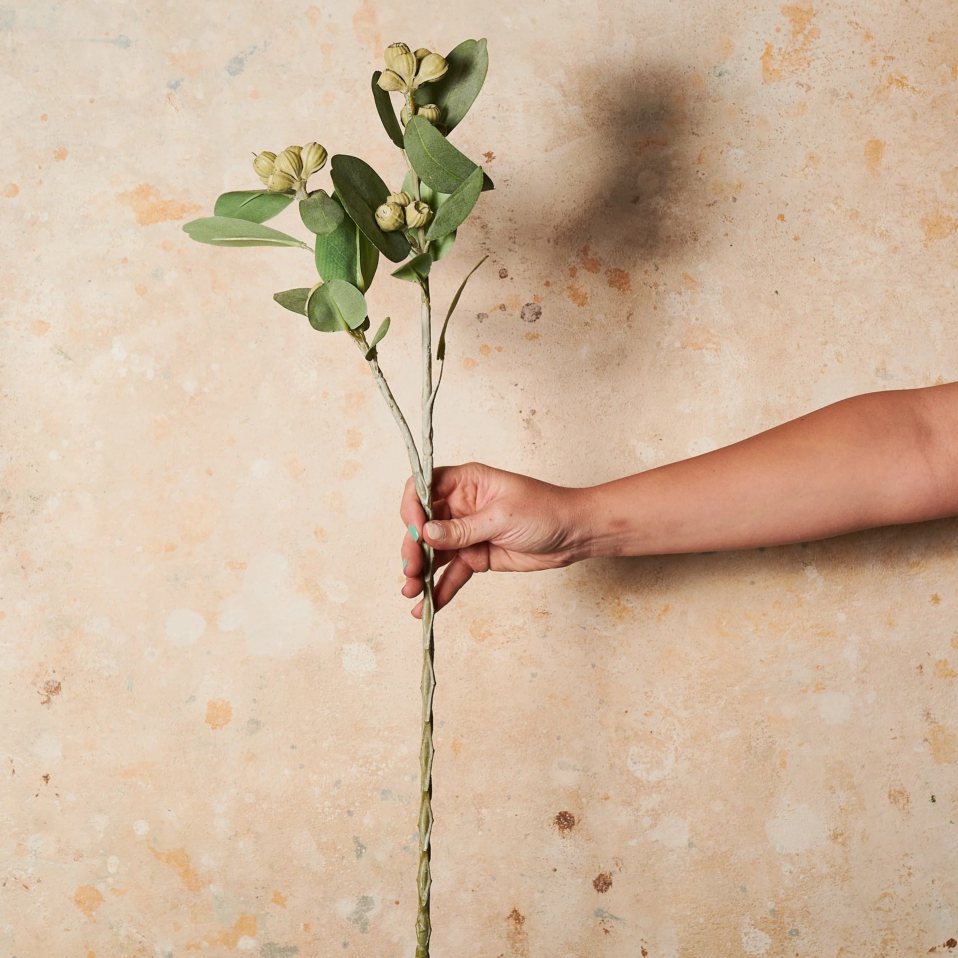 Tetragona Spray Real Touch Flower Stem - Image 2