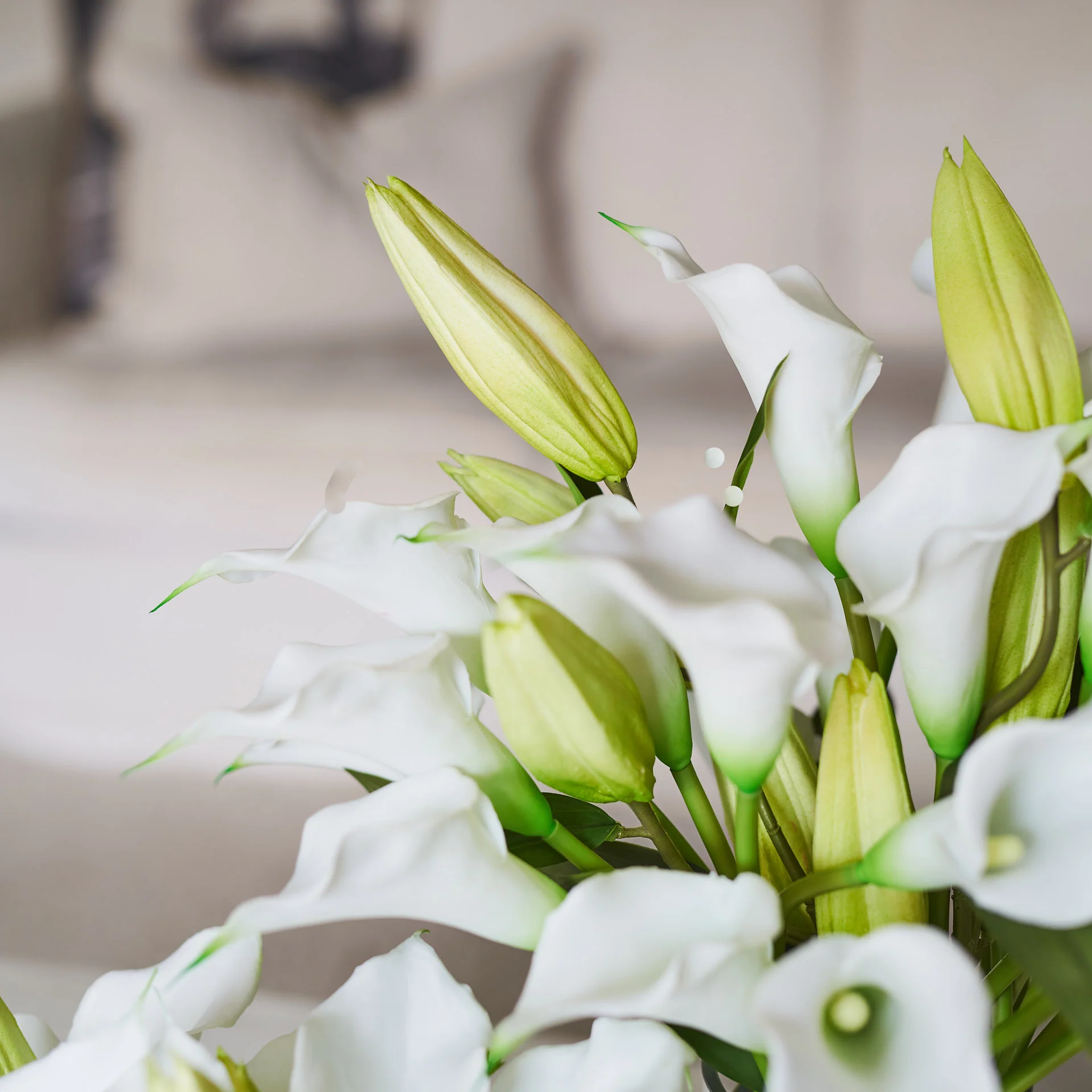The Lily Set - Image 2