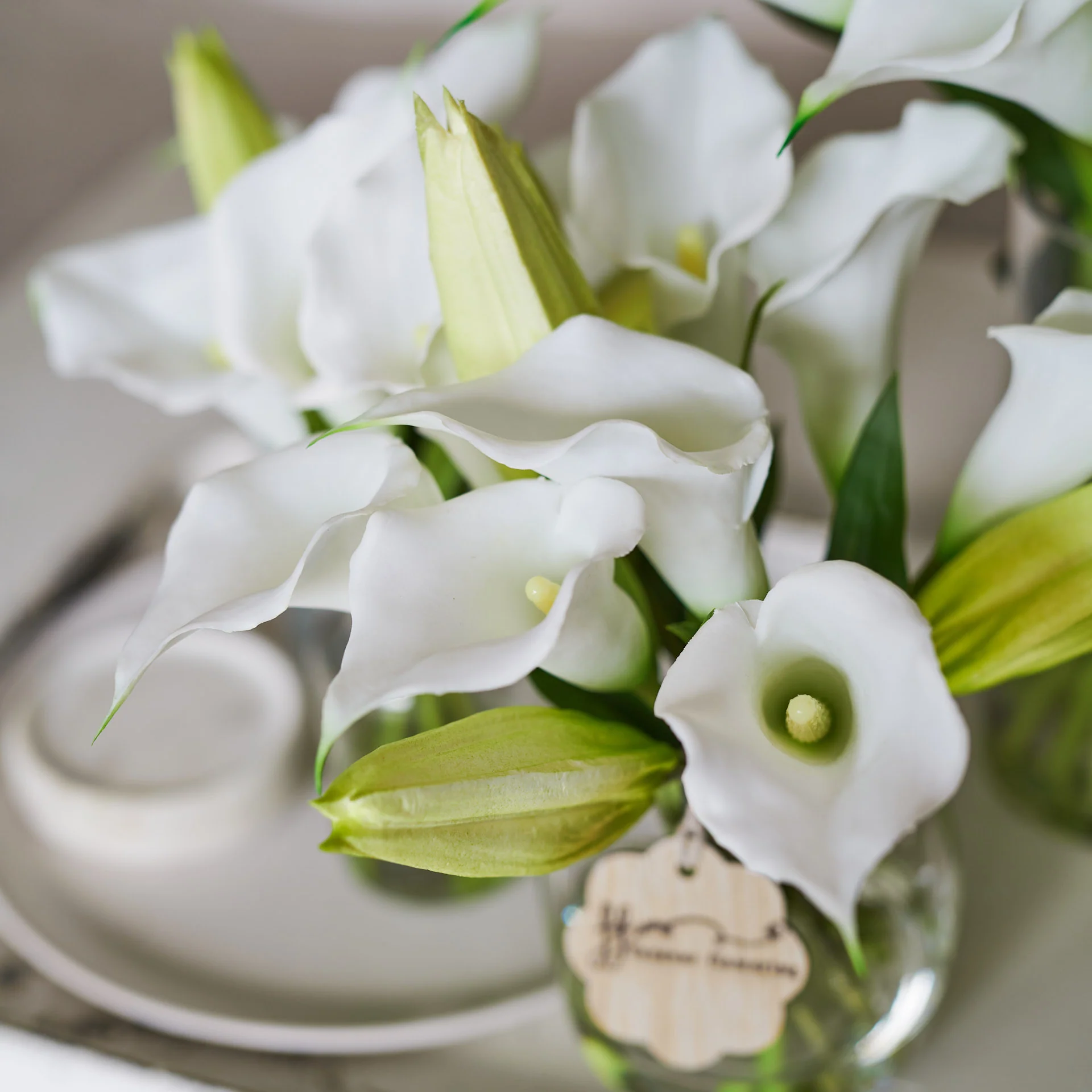 The Lily Set - Image 3