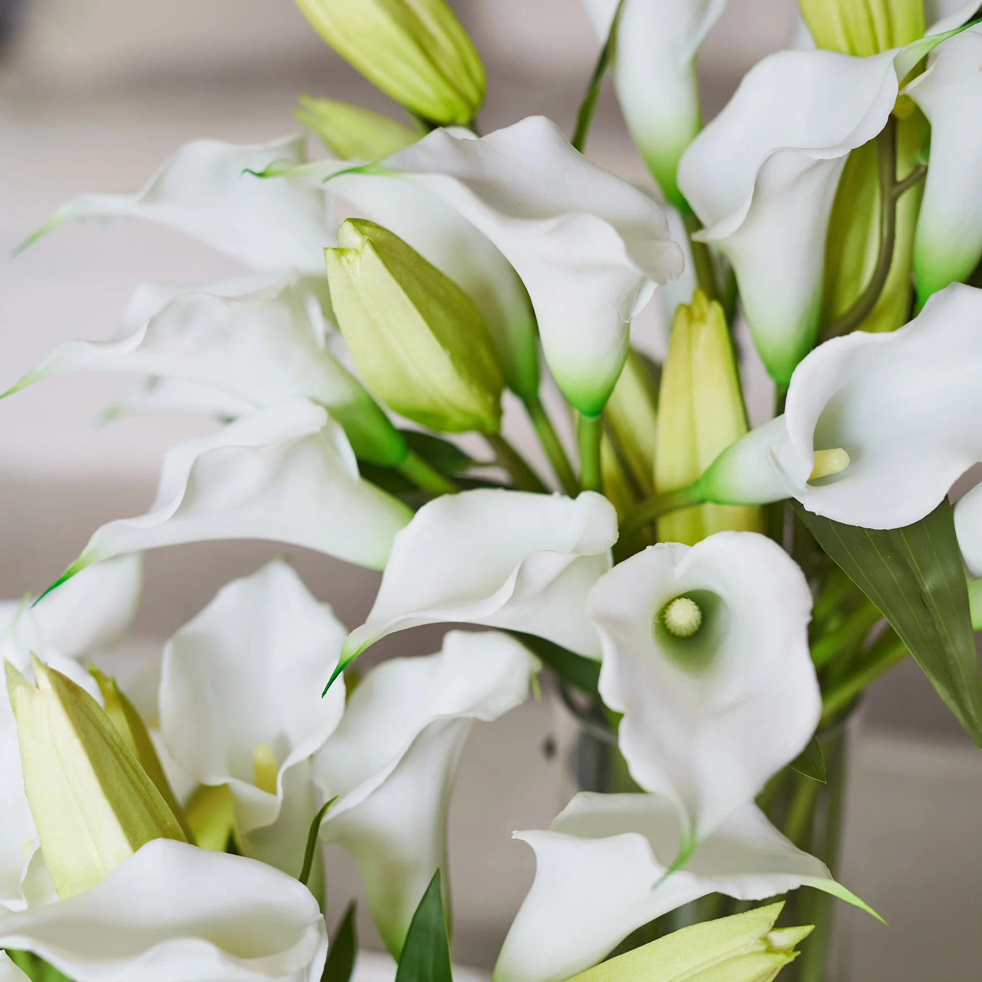 The Lily Set - Image 4