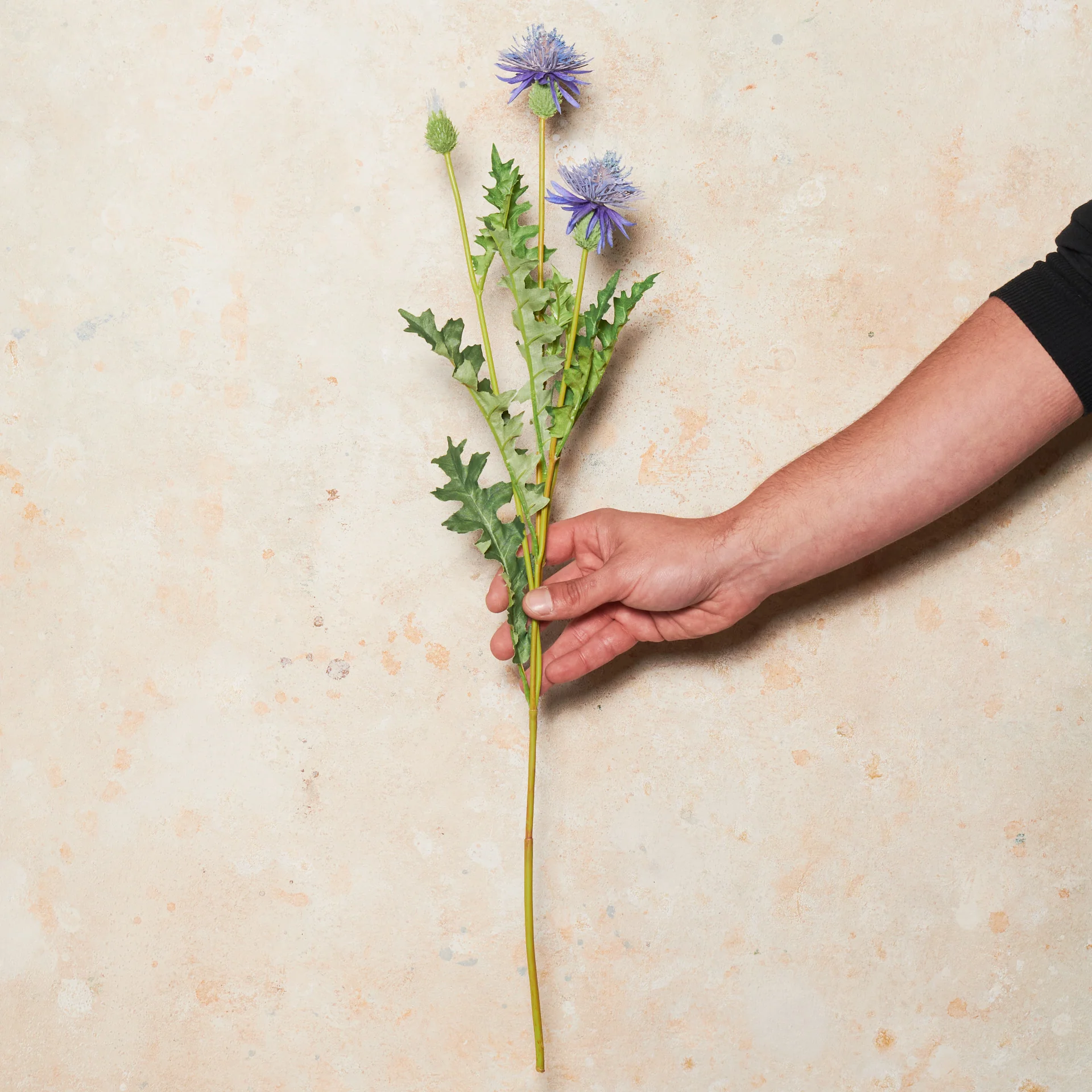 Thistle Real Touch Flower Stem - Image 2