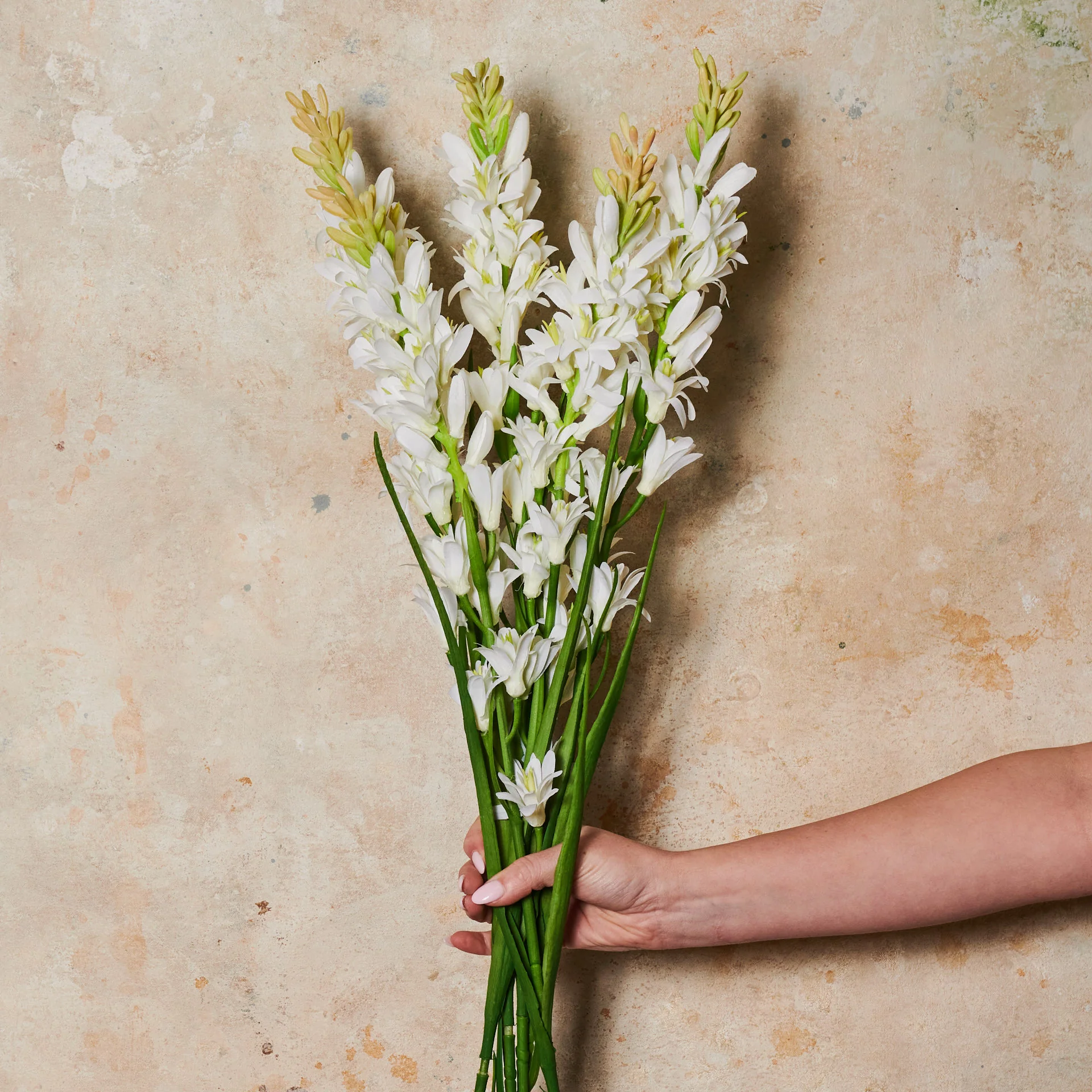Tuberose Real Touch Flower Stem - Image 2