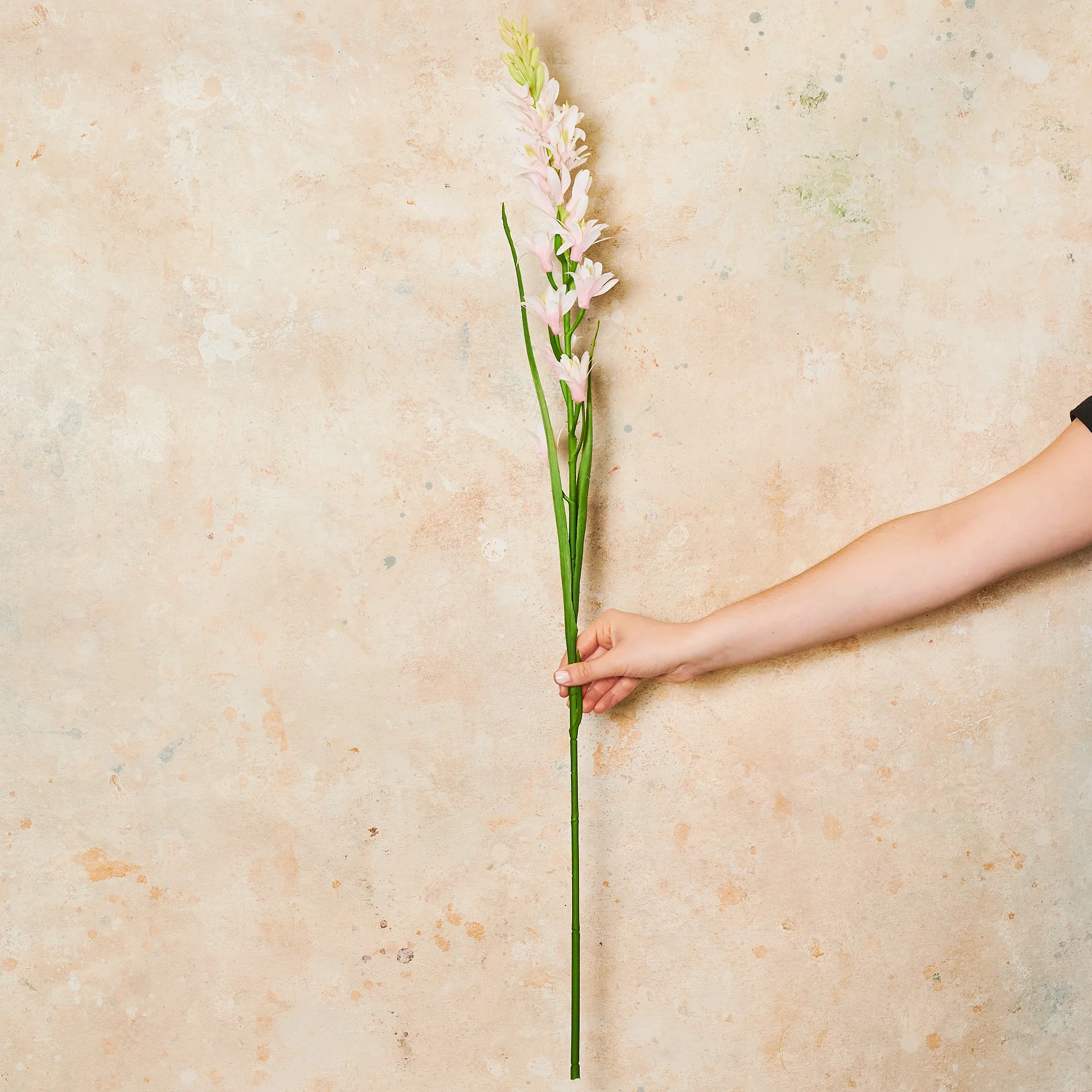 Tuberose Real Touch Flower Stem - Image 4