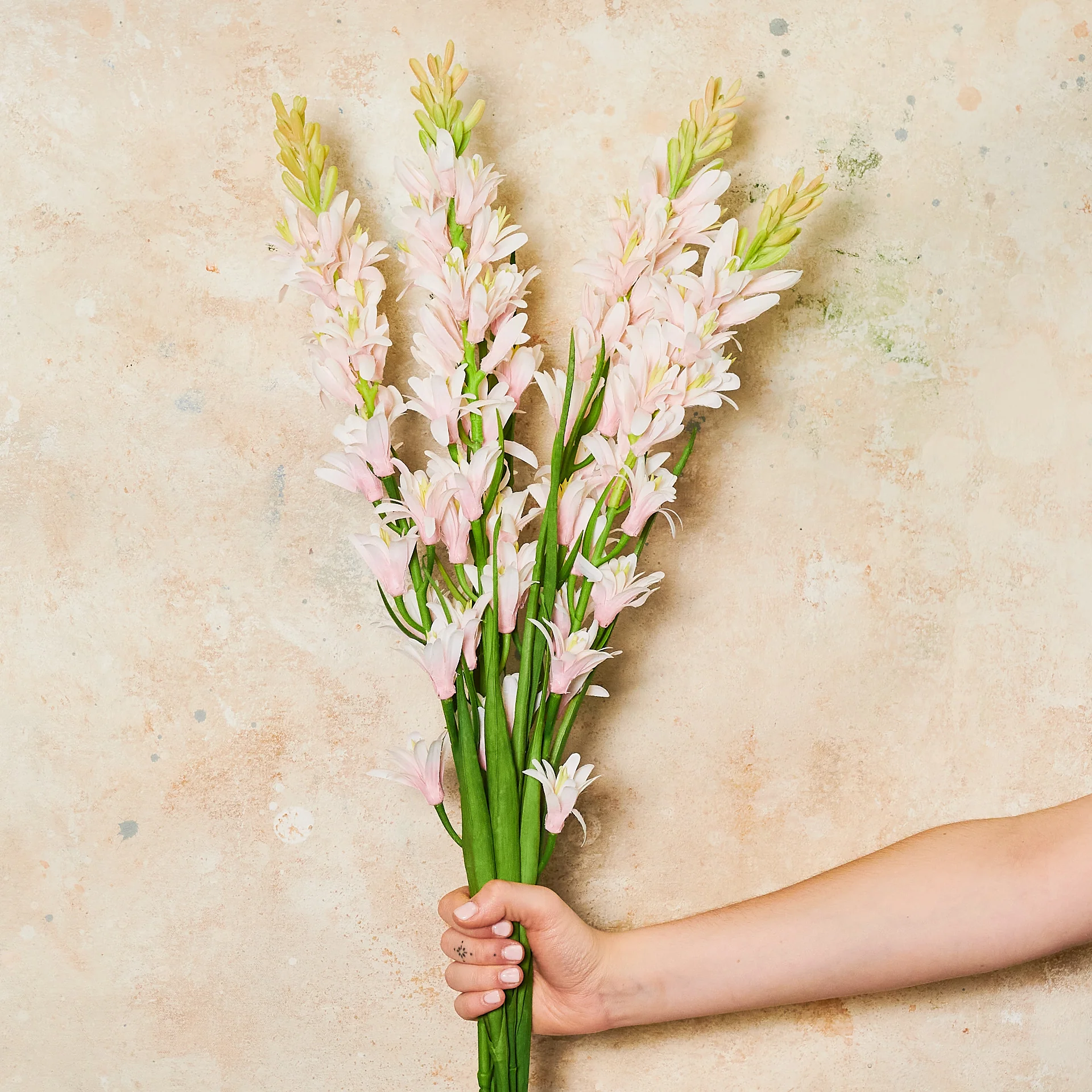 Tuberose Real Touch Flower Stem - Image 5