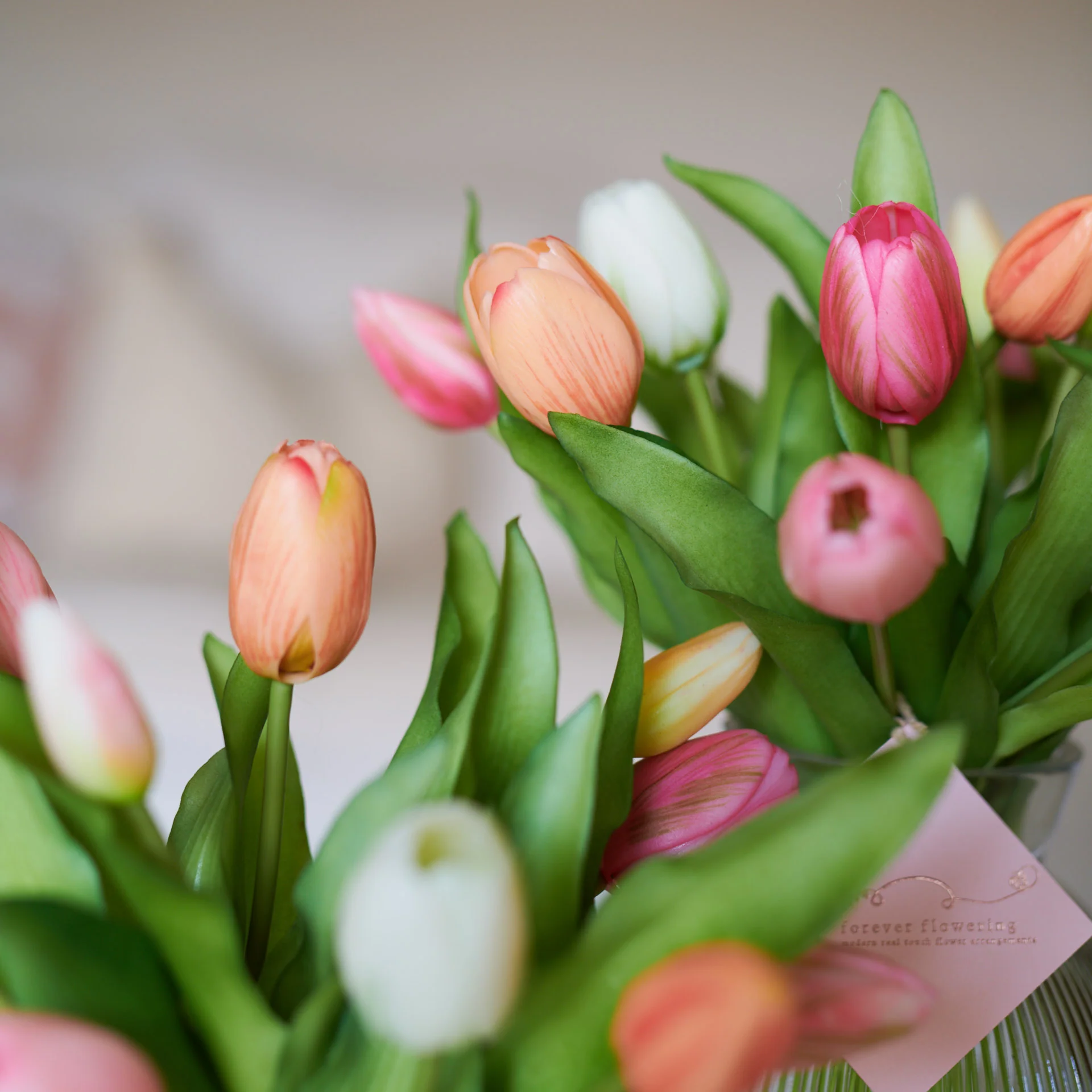 Tulip Treasures - Image 3
