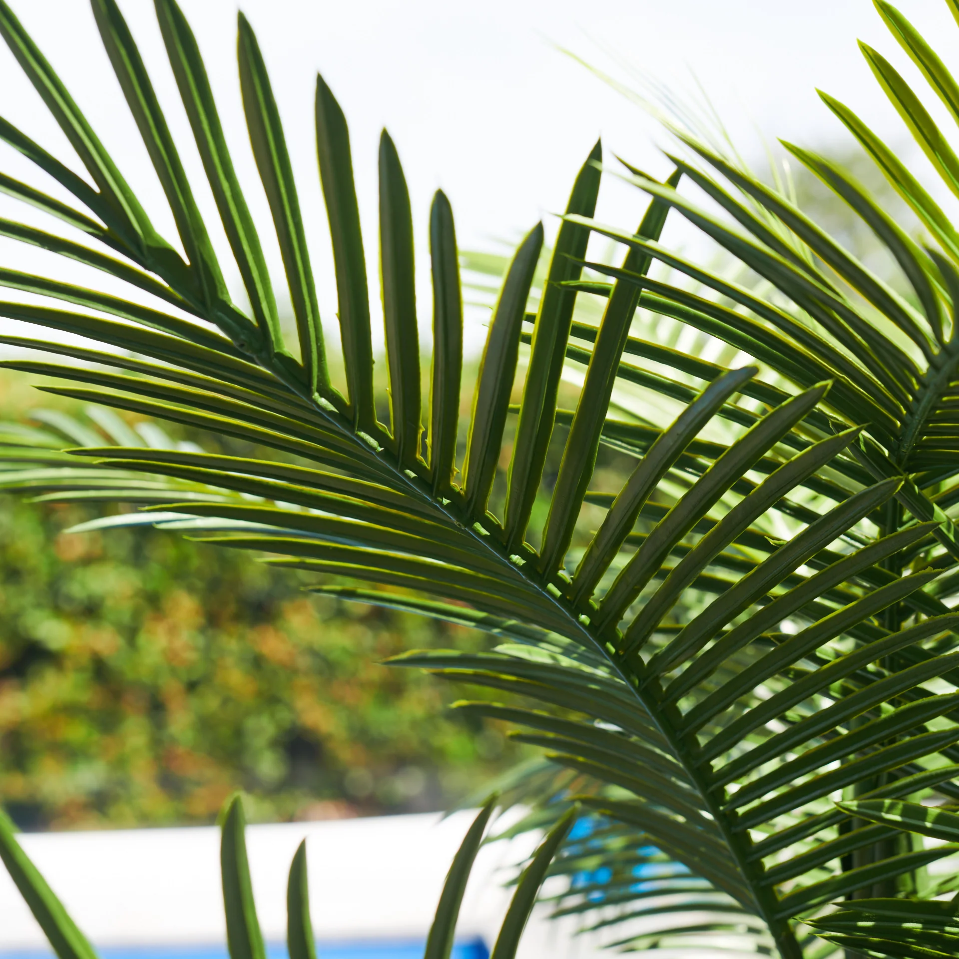 UV Resistant Areca Palm Tree - Image 10