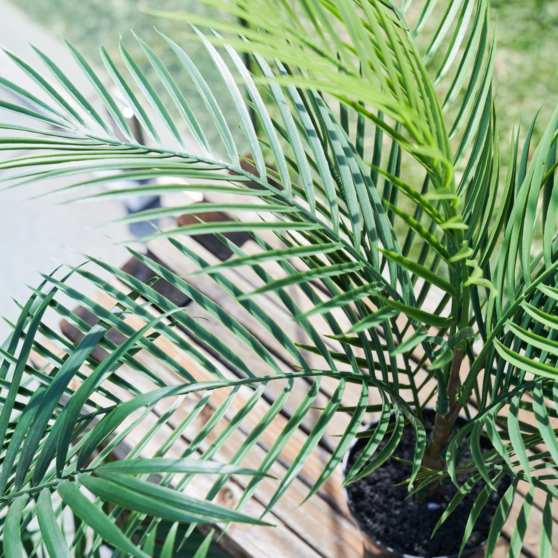 UV Resistant Areca Palm Tree - Image 5