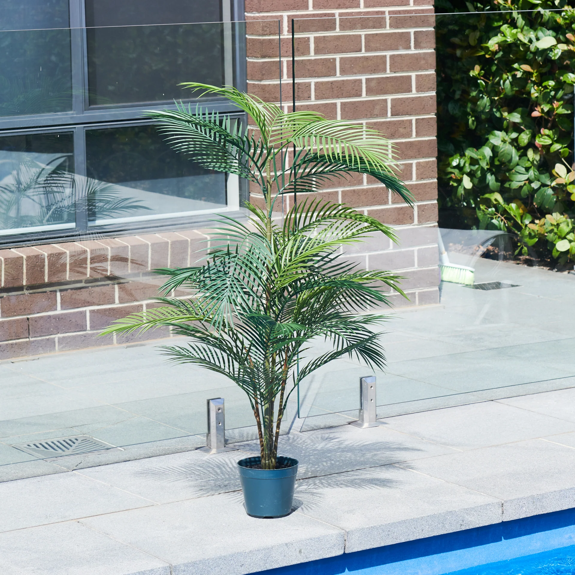 UV Resistant Areca Palm Tree - Image 6