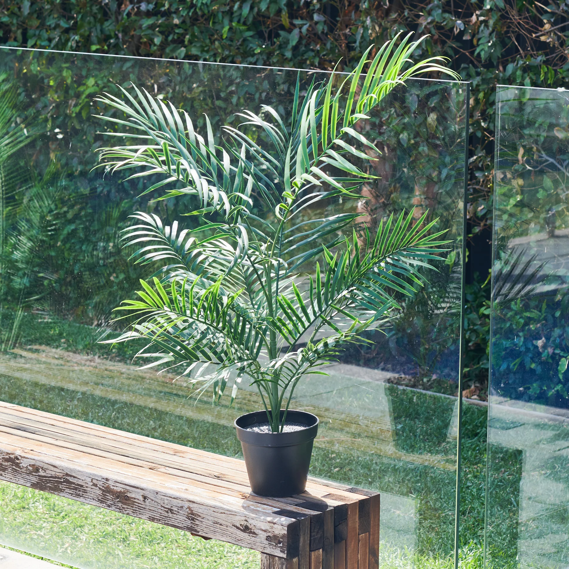 UV Resistant Areca Palm Tree - Image 7