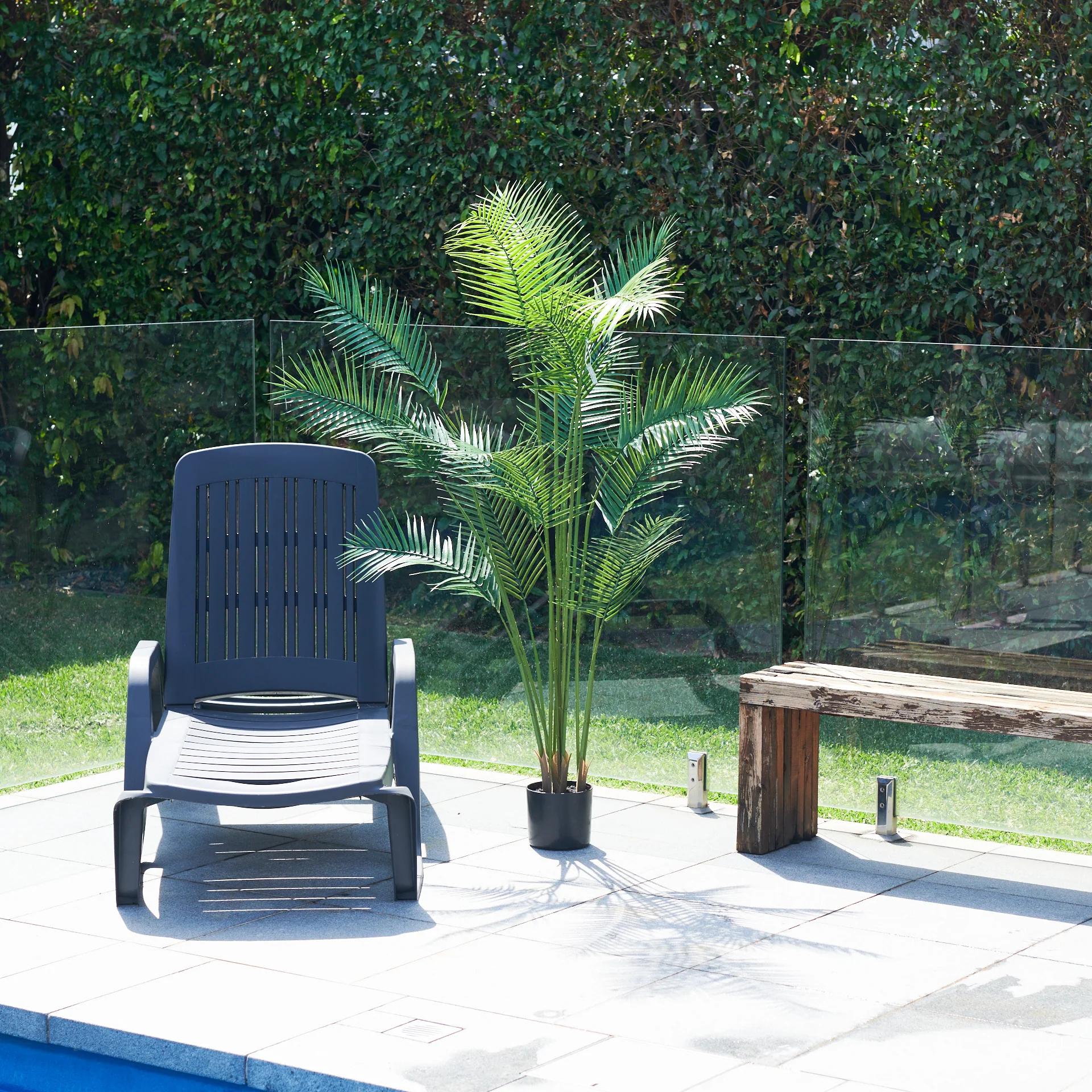 UV Resistant Areca Palm Tree - Image 8