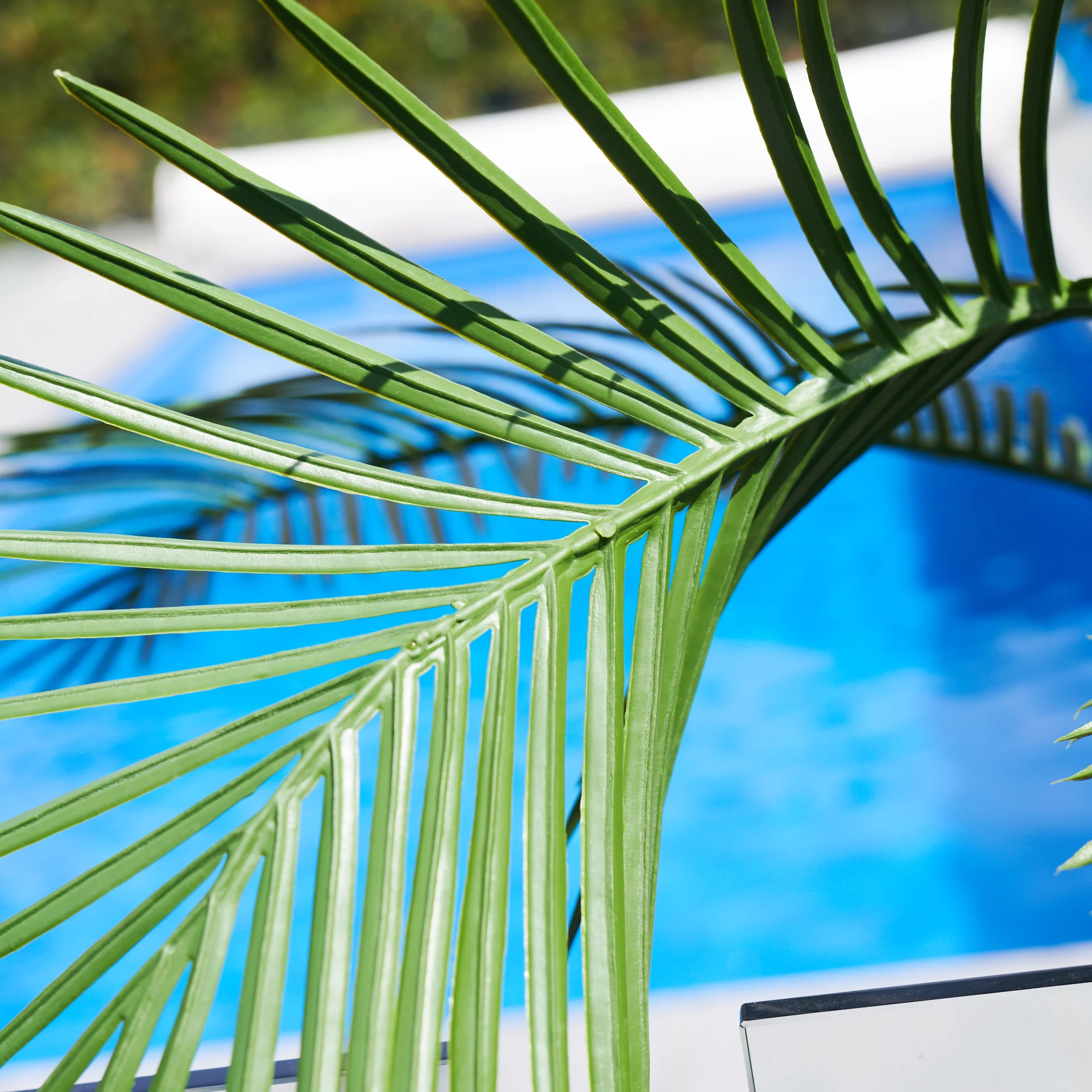UV Resistant Areca Palm Tree - Image 9