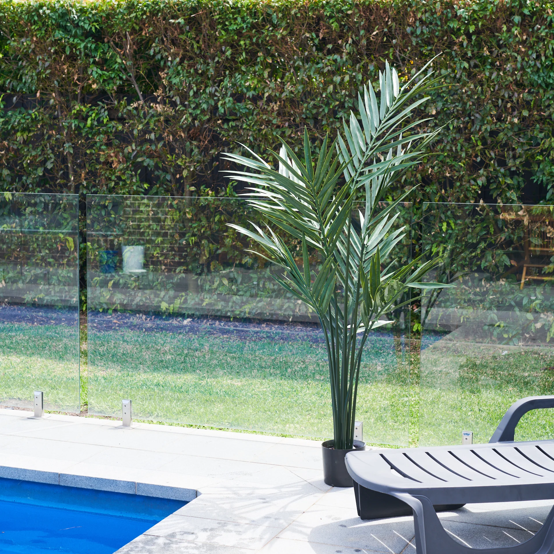 UV Resistant Kentia Palm Tree - Image 3