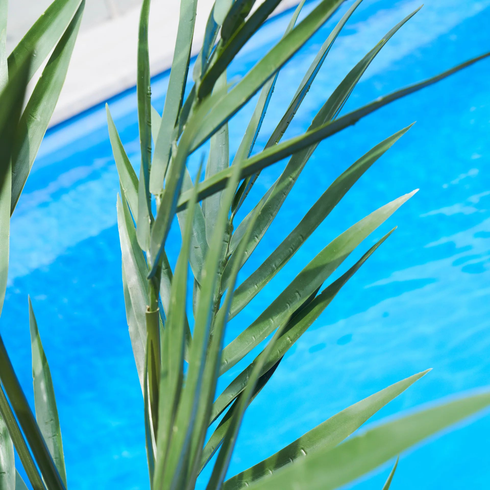 UV Resistant Kentia Palm Tree - Image 4