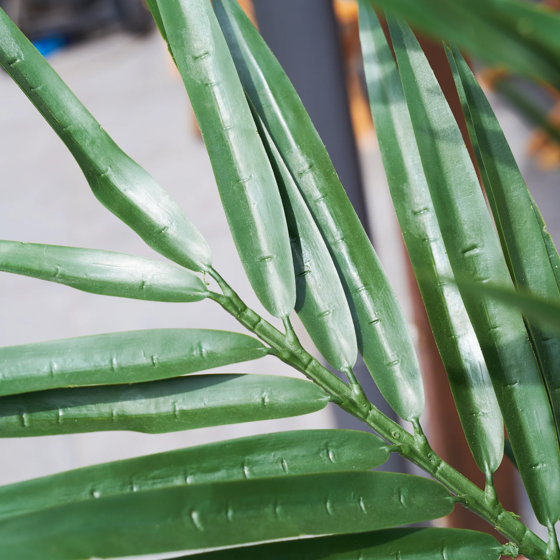 UV Resistant Kentia Palm Tree - Image 5