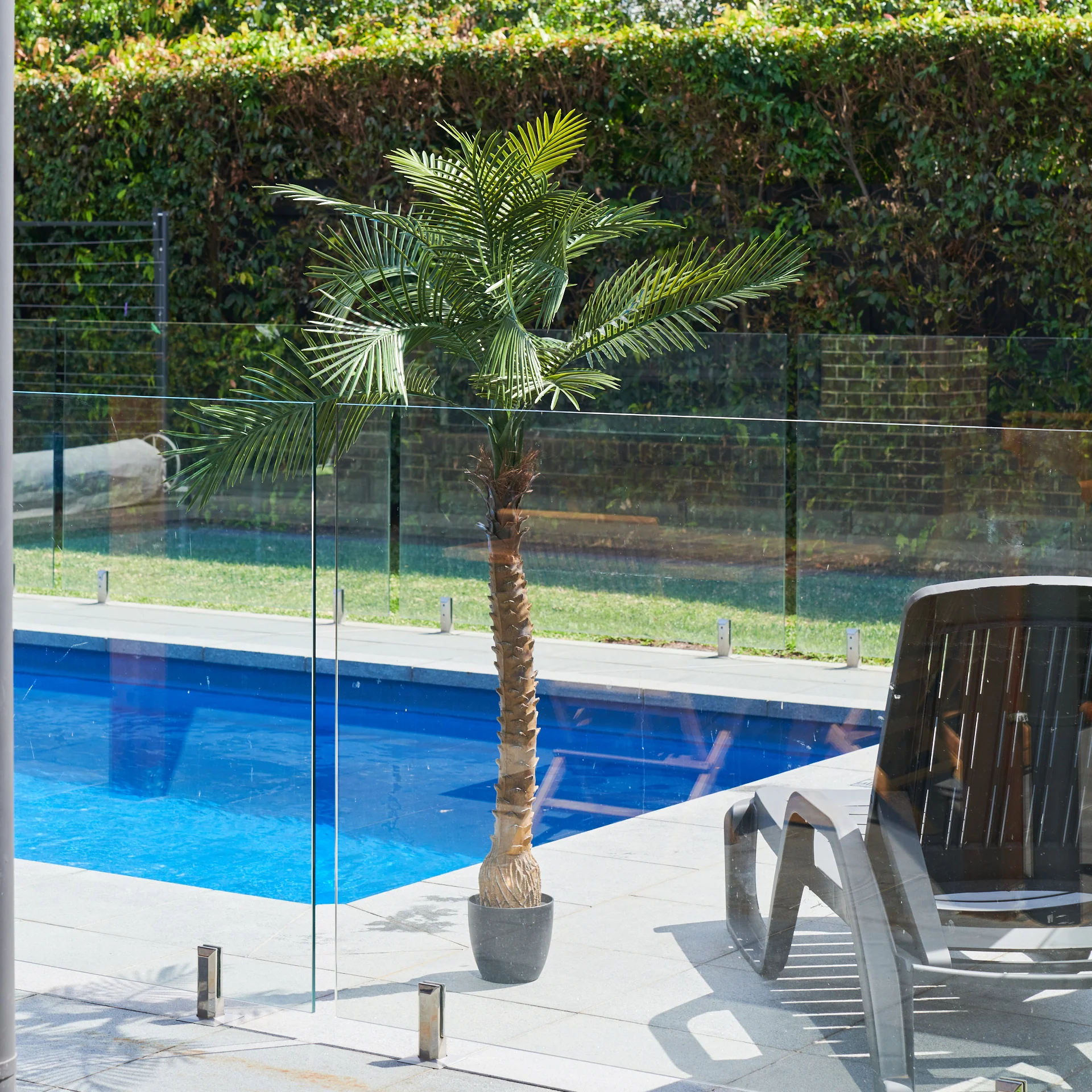 UV Resistant Phoenix Palm Tree - Image 3