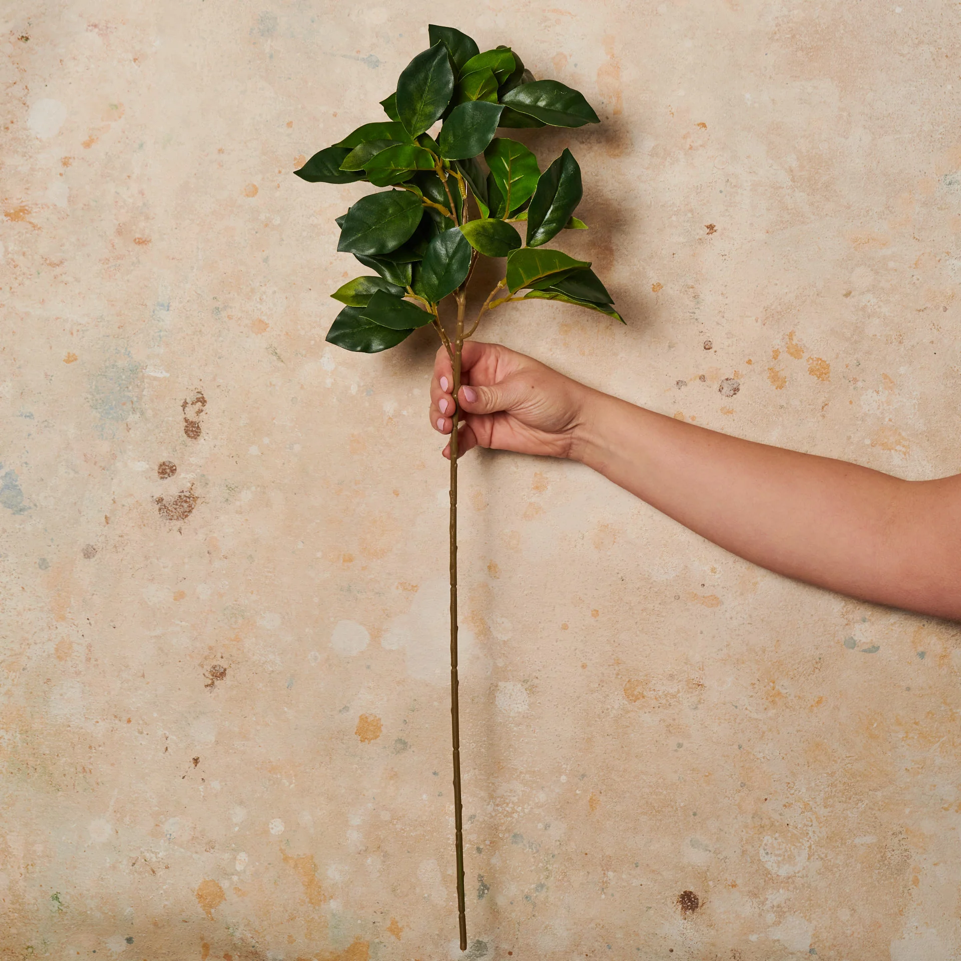 Viburnum Spray Real Touch Stem - Image 2