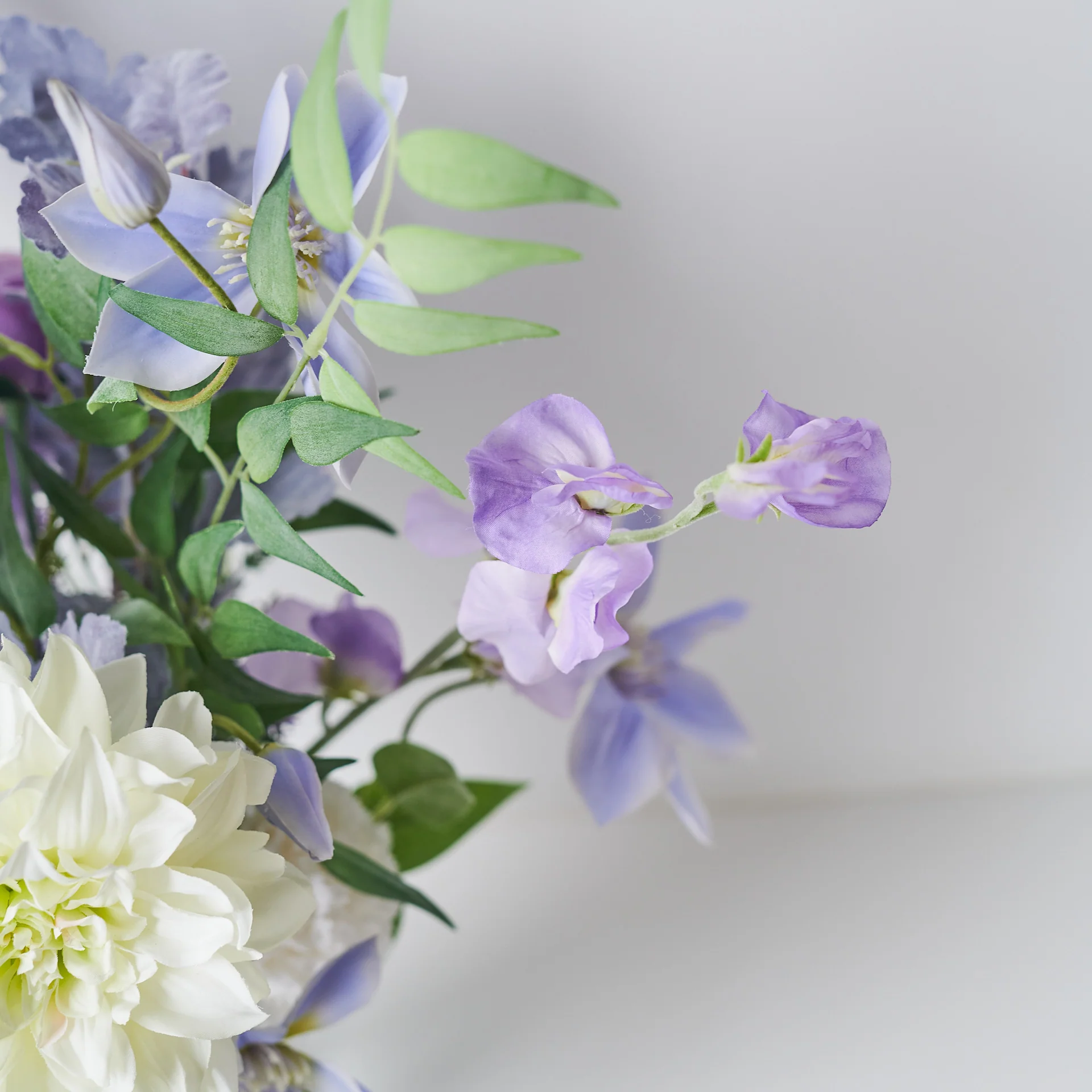 Violet - Image 20