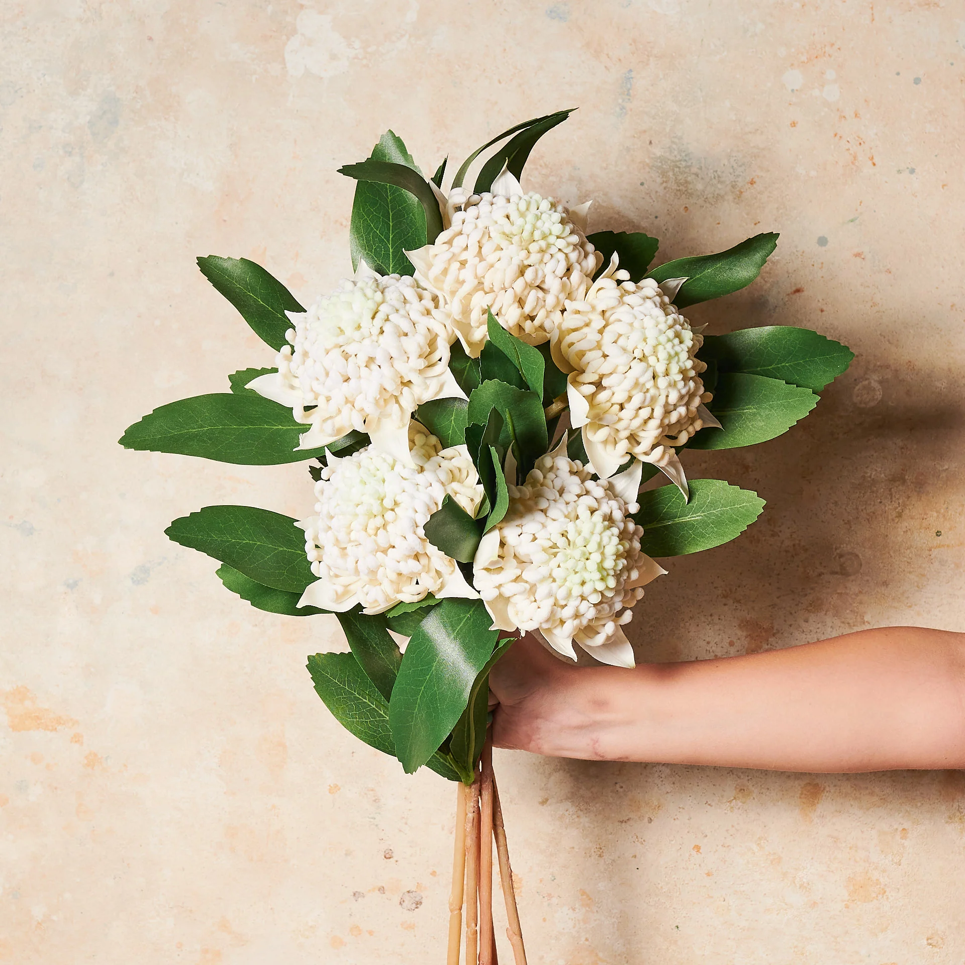Waratah Real Touch Flower Stem - Image 3