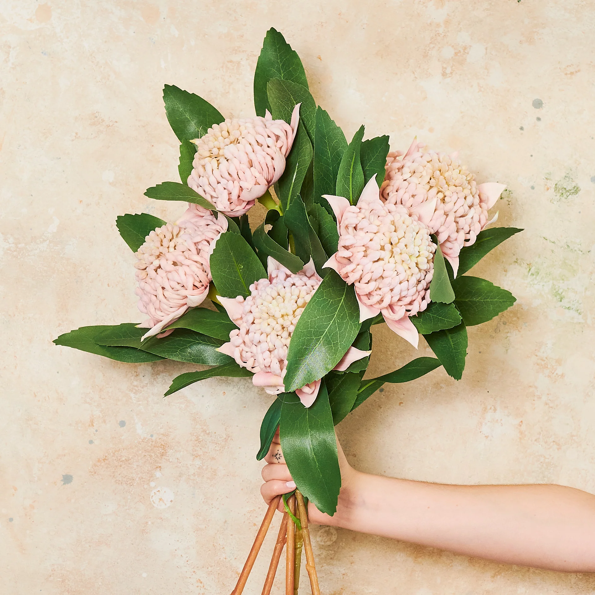 Waratah Real Touch Flower Stem - Image 6