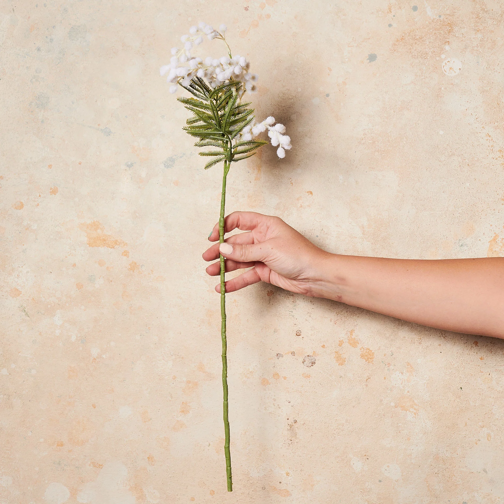 Wattle Real Touch Flower Stem - Image 2