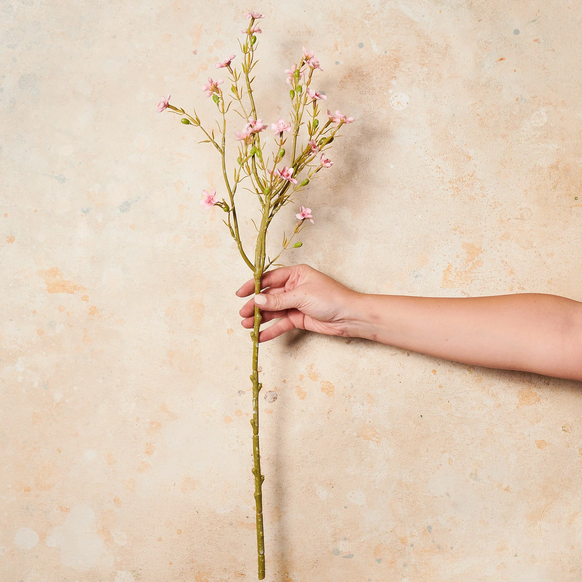 Wax Flower Real Touch Flower Stem - Image 4